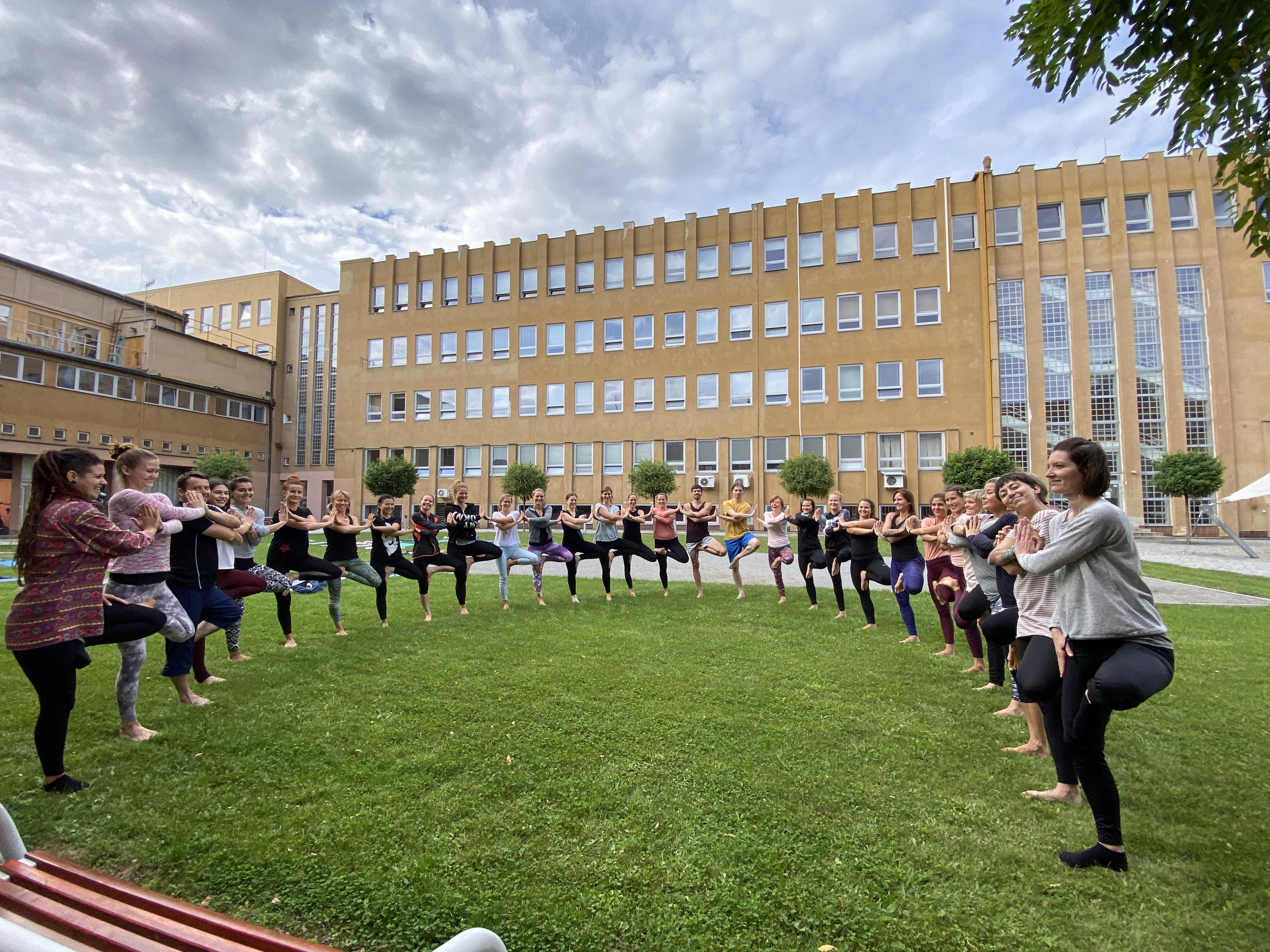 Yoga4Yogi foto 4