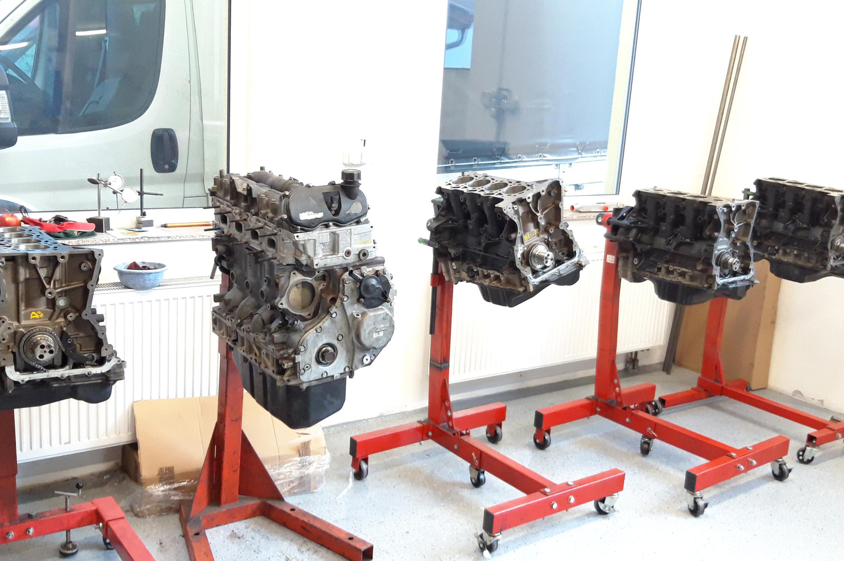 Vandoc - Tomáš Buda