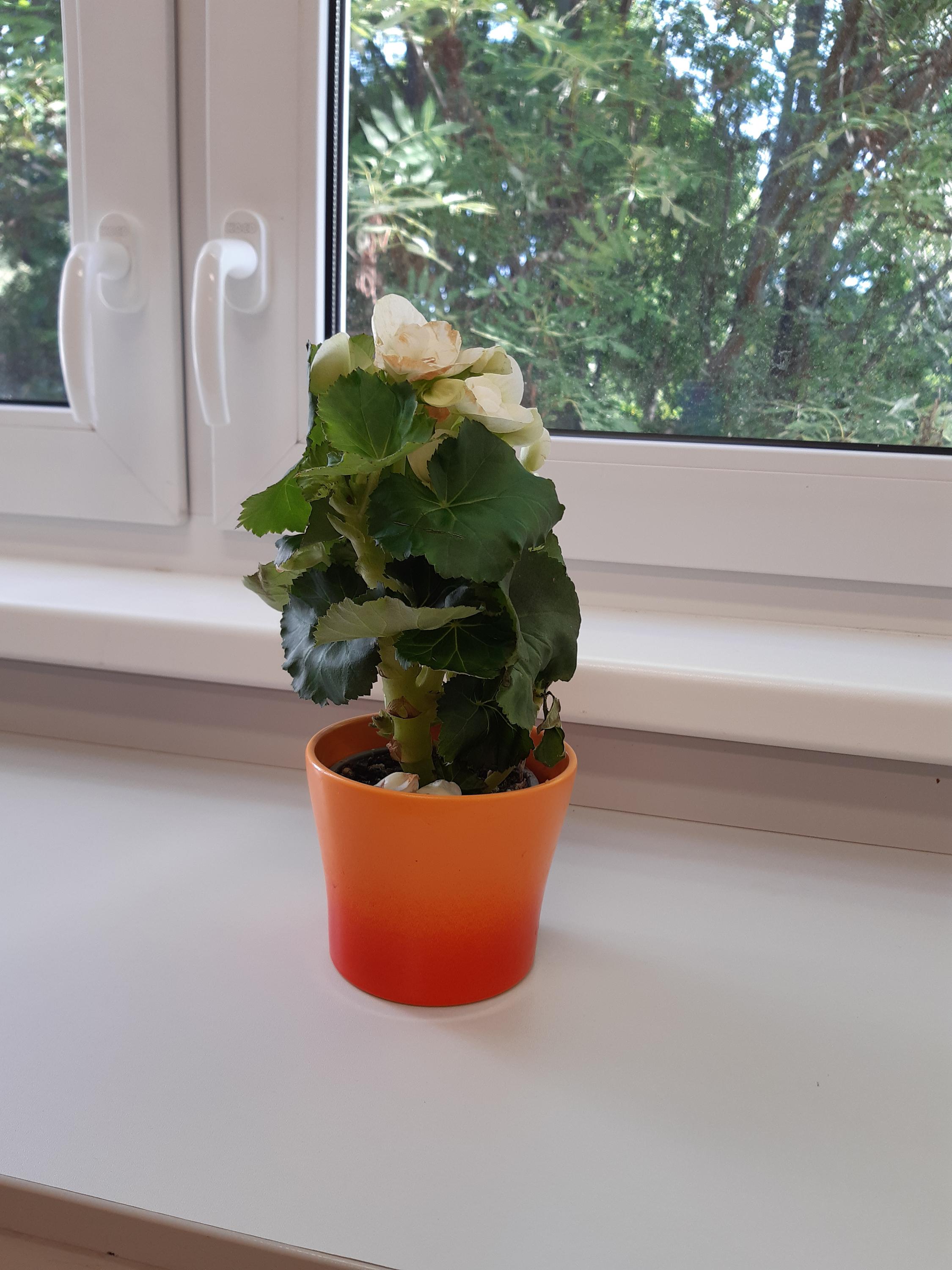 ZŠ Praha 9, Litvínovská 500 foto 5