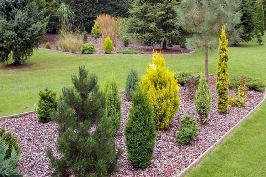 Realizace bezúdržbových zahrad