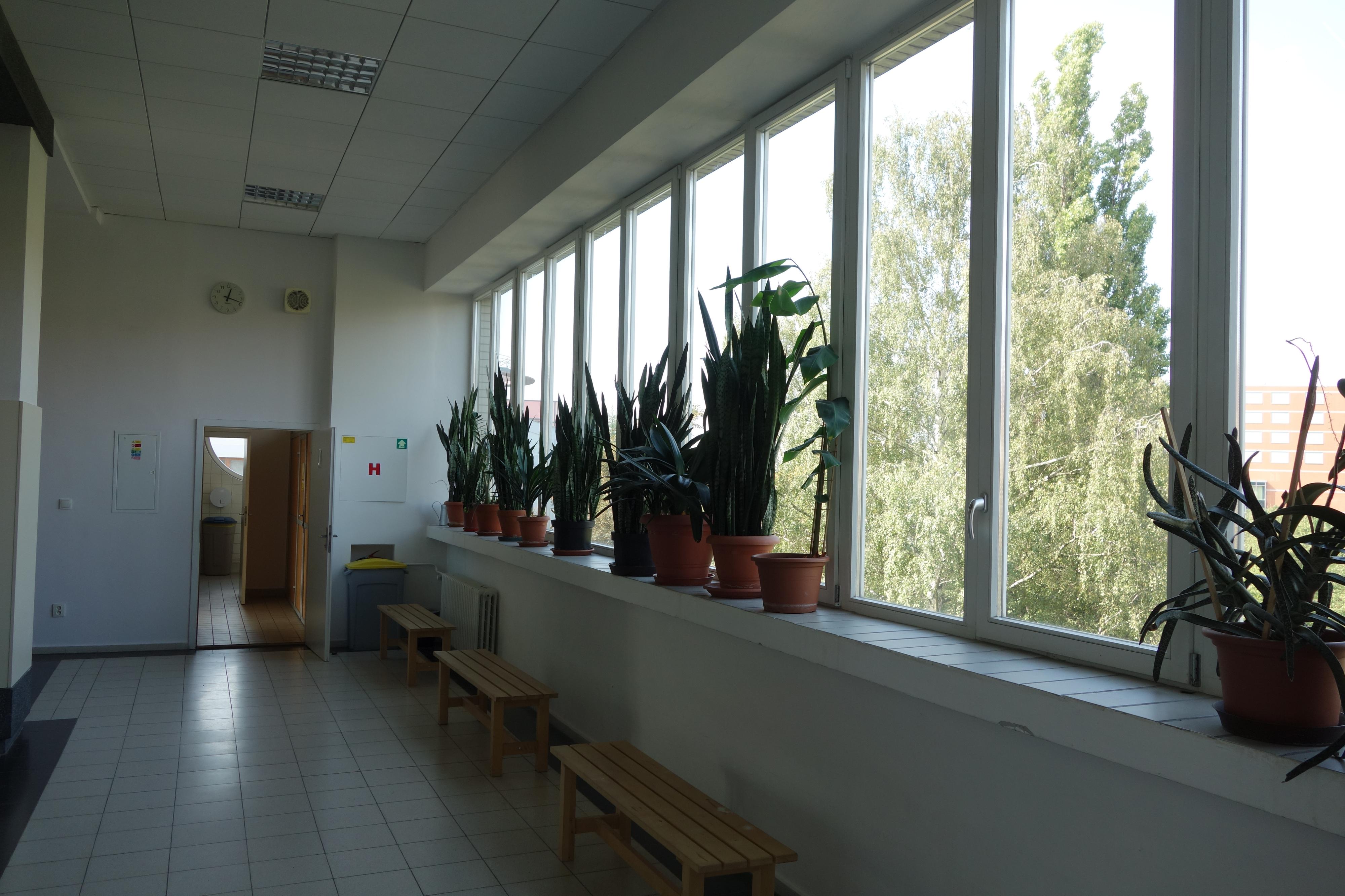 Gymnázium Praha 9, Špitálská foto 3