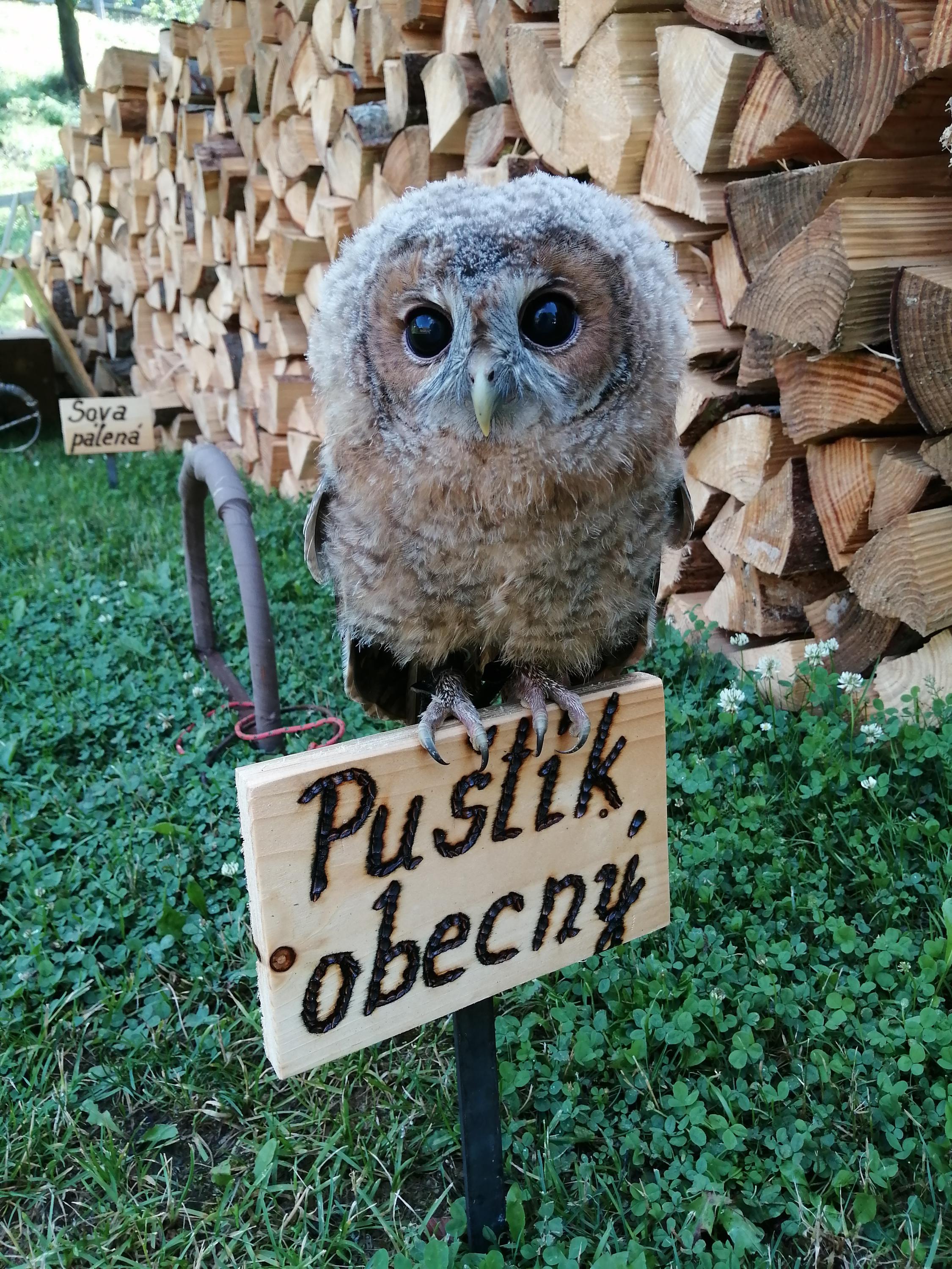 František Adámek foto 3