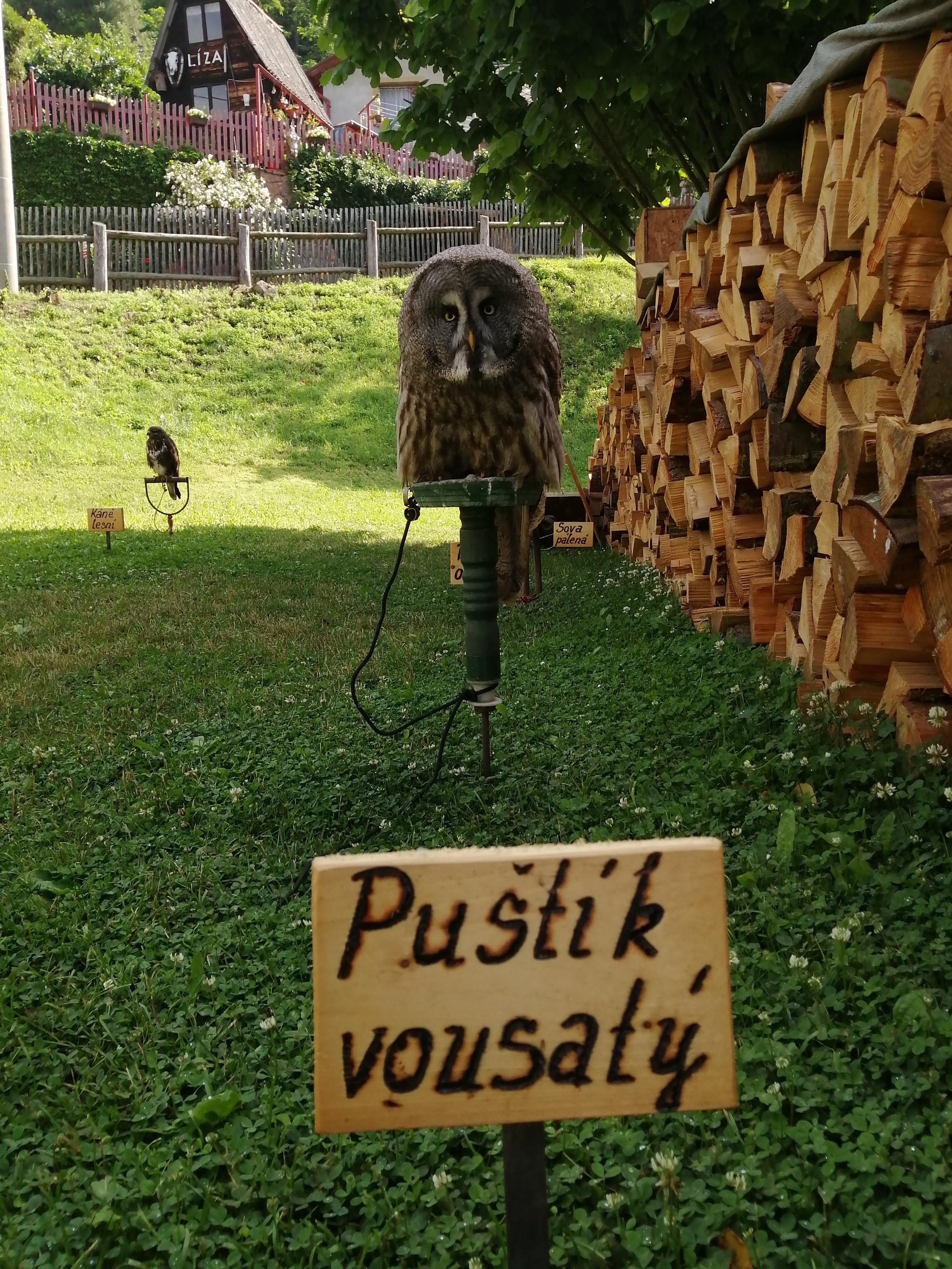 František Adámek foto 5