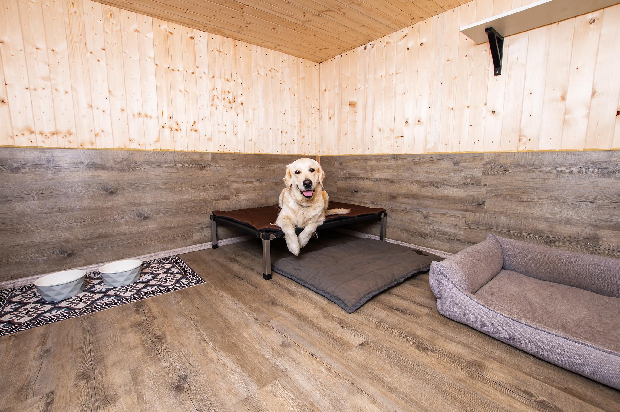 Hotel pro psy Na samotě u lesa