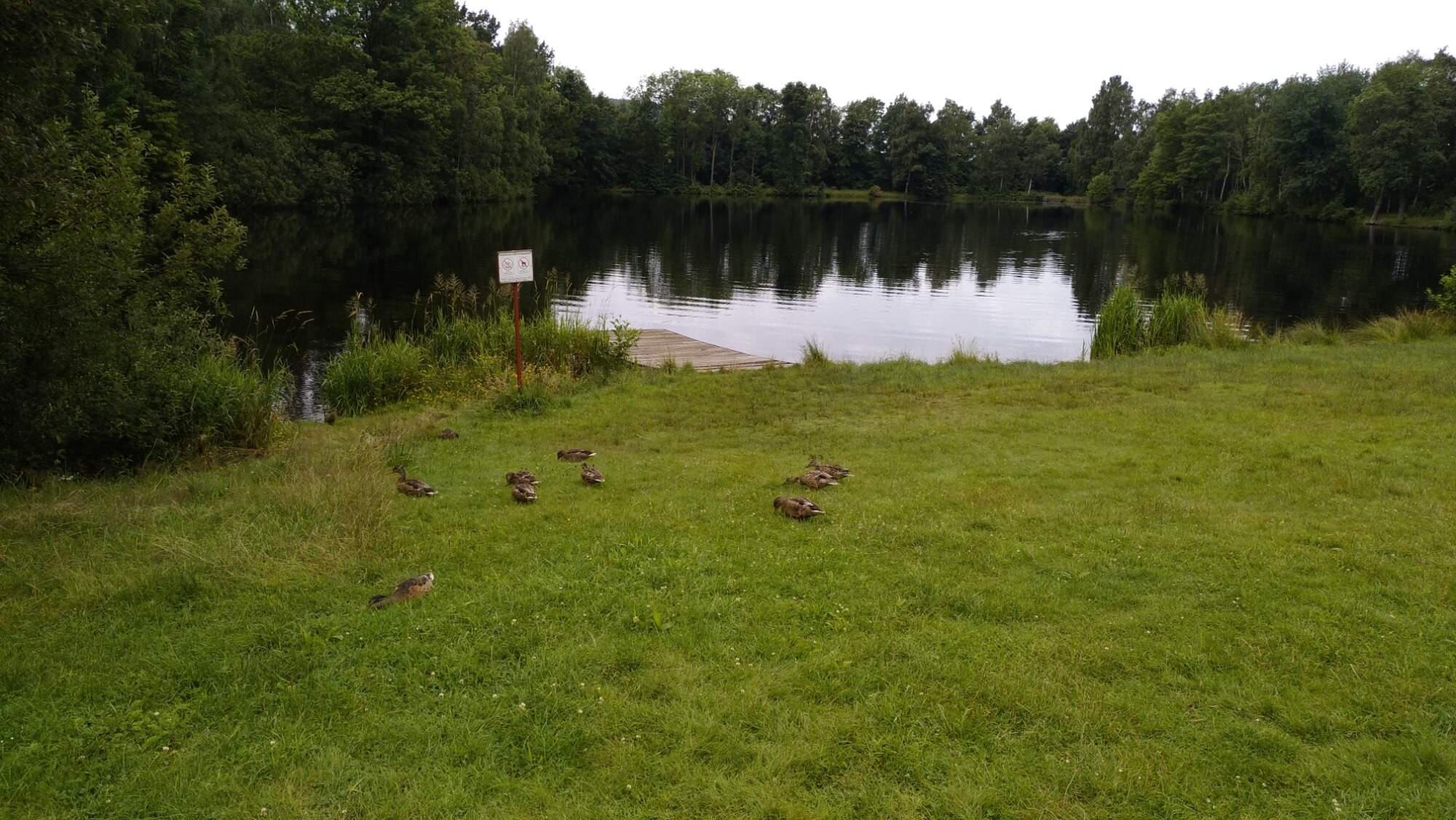 Kemp Singltrek Centrum foto 2