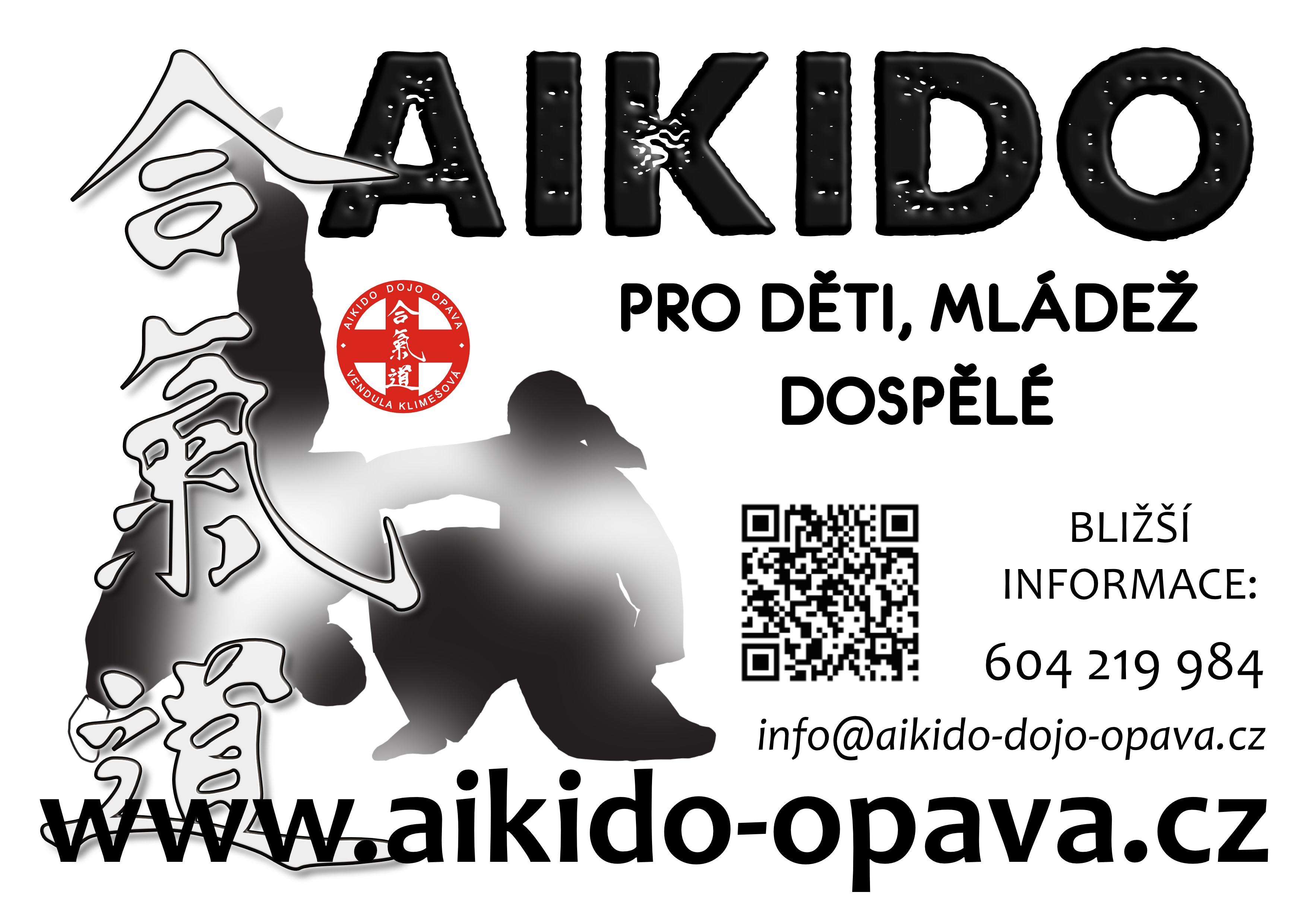 Aikido Dojo Opava foto 3