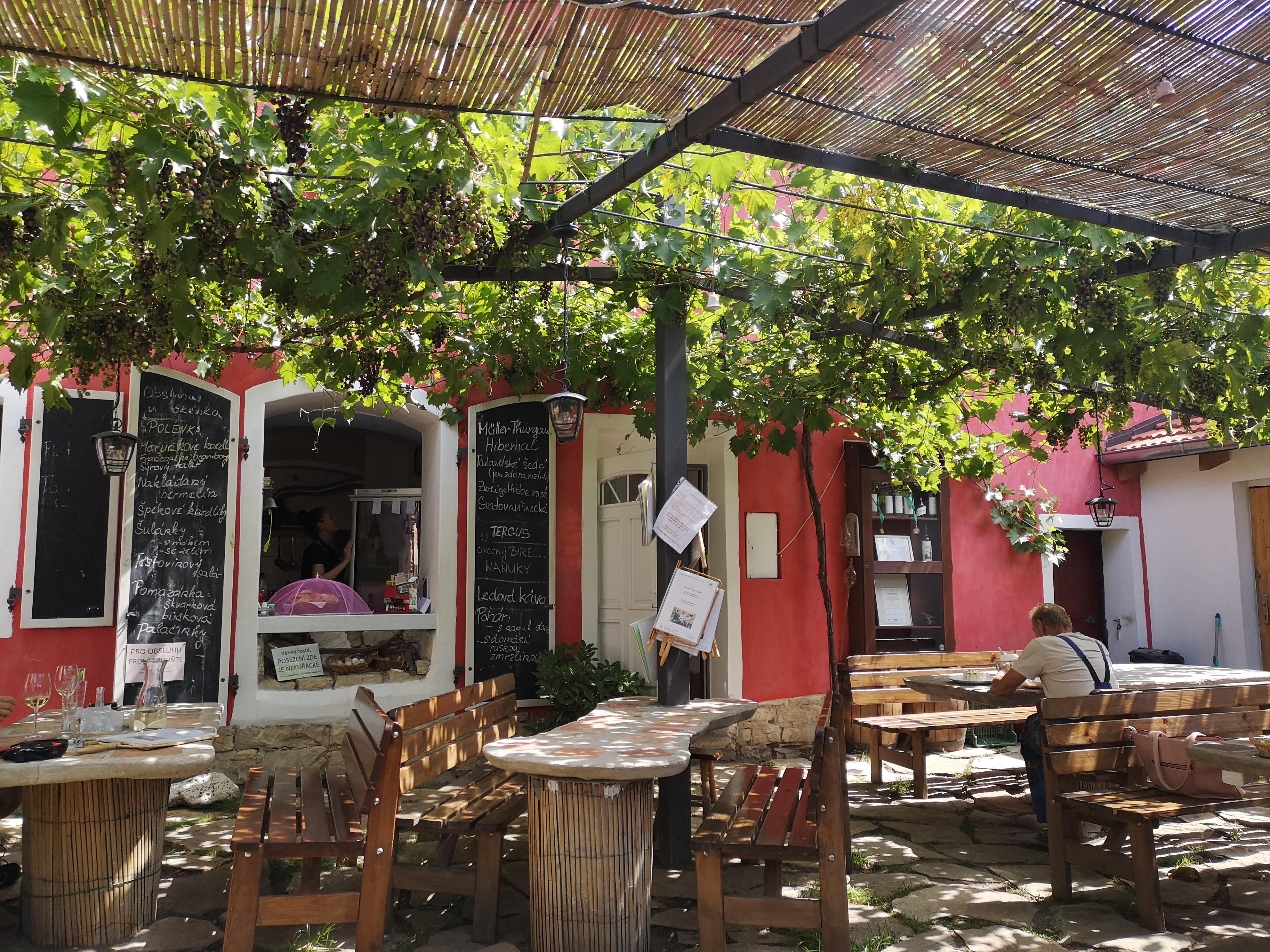 Rodinné vinařství Mikulenkovi foto 5