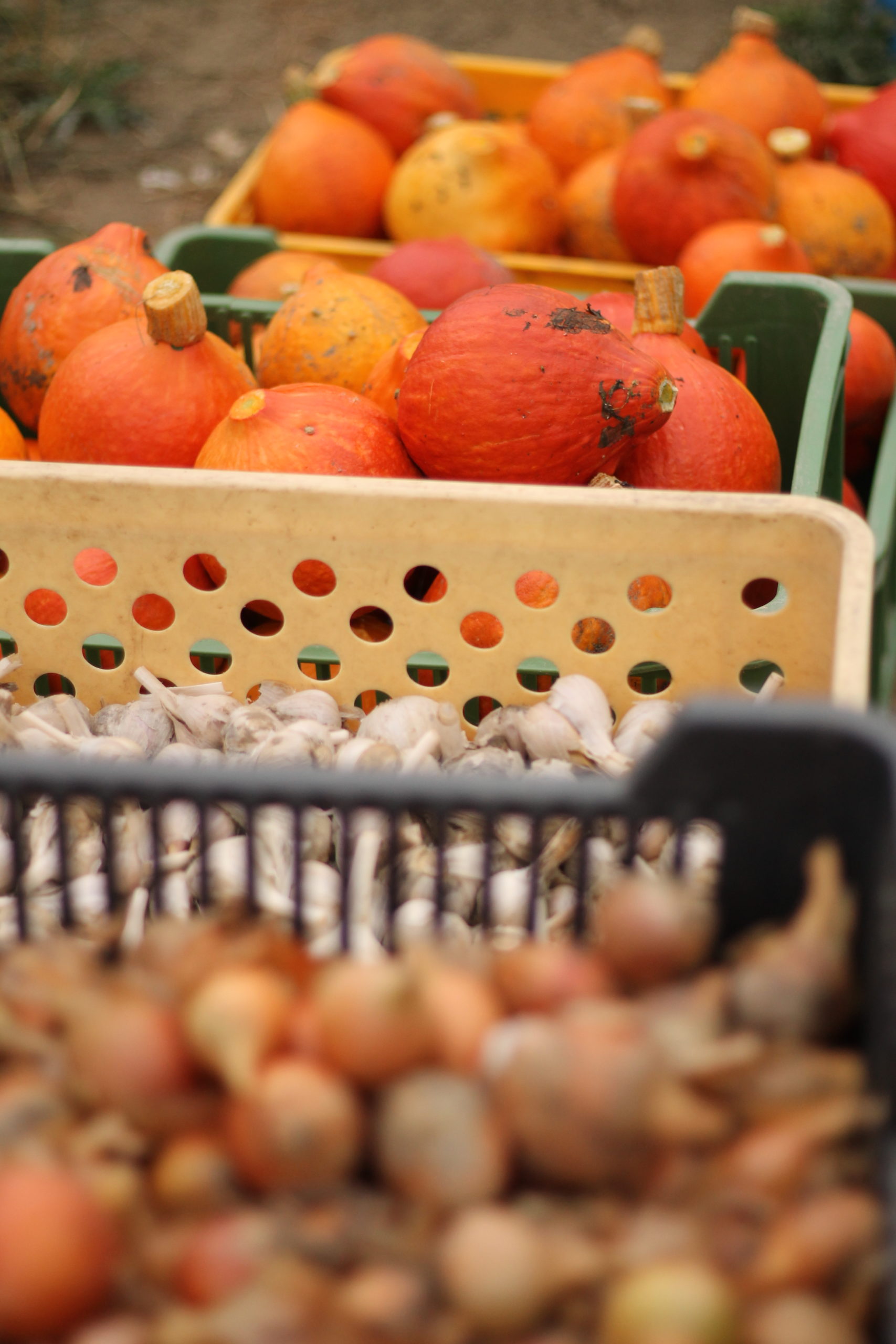 Statek u Macháčků | bio zelenina a ovoce, bio mouka foto 4