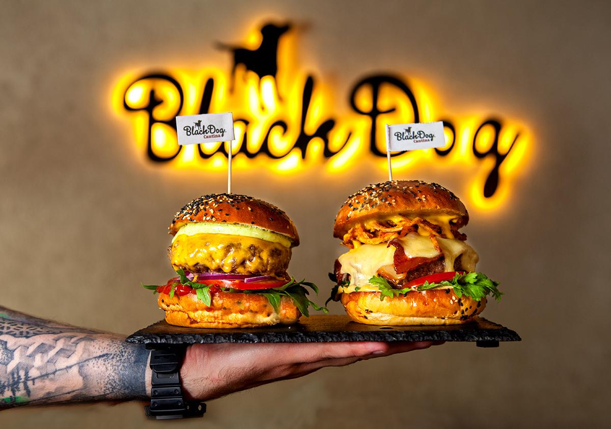 Black dog Cantina foto 3