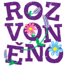 Přírodní svíčka s BIO borovicí, cedrem, kadidlem a pomerančem - Voňavý advent v obchodě ROZVONĚNO