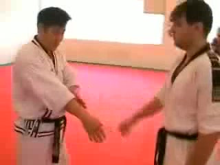 Jan Gavura KOBUKSON výuka sebeobrany foto 2 (náhled videa)