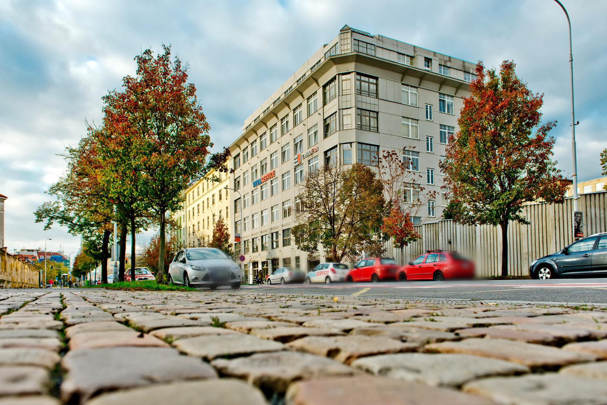 Iva Šulcová foto 1