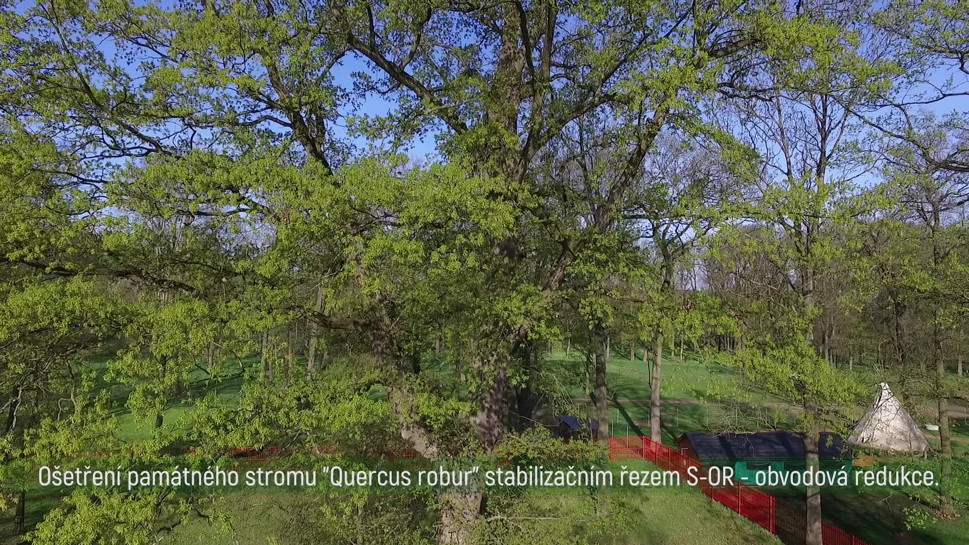 Stromolezec-zlin.cz foto 2 (náhled videa)