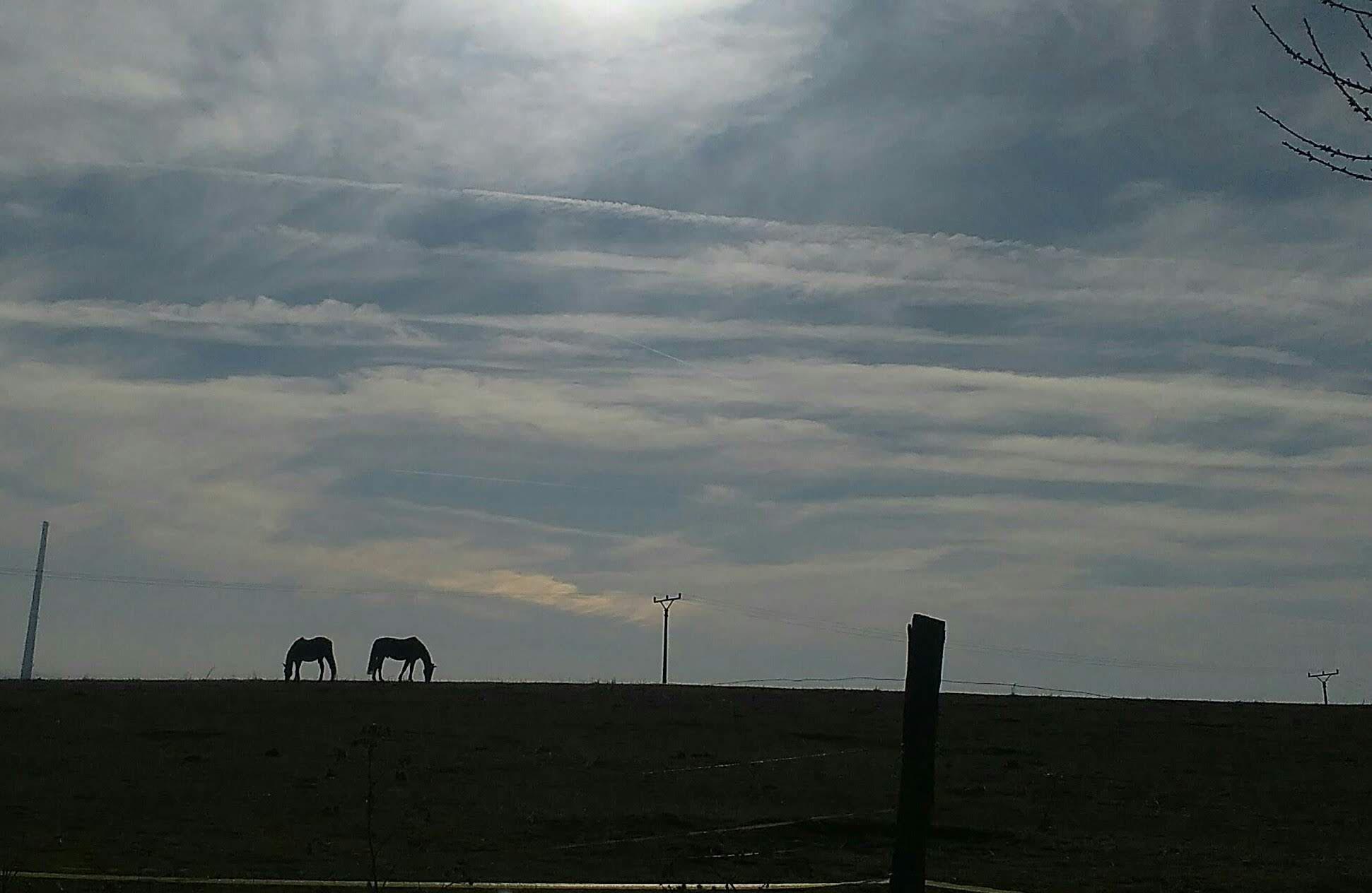 JK Ranch u cesty foto 6