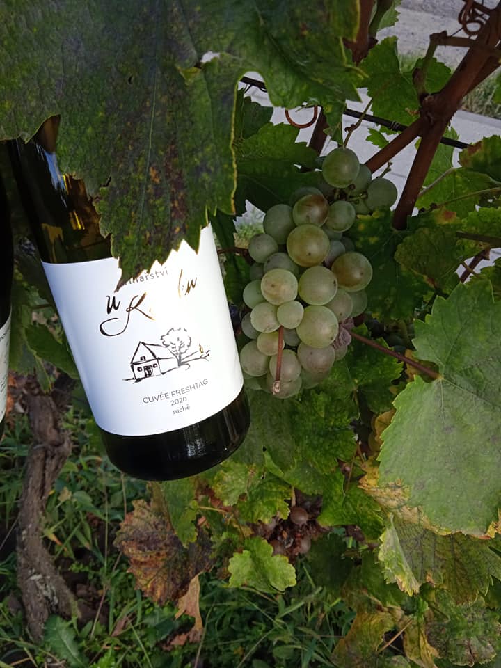 Vinařství U Křížku foto 2