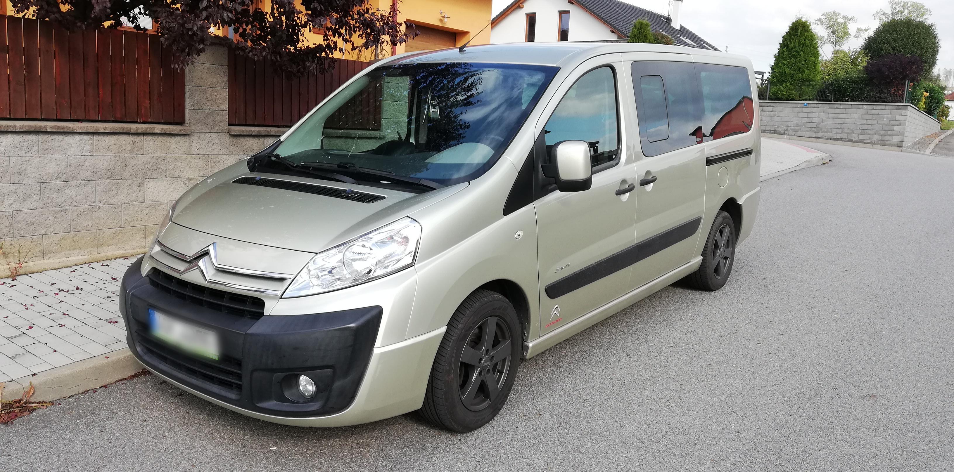 TAXISLUŽBA - PROCHÁZKA foto 2