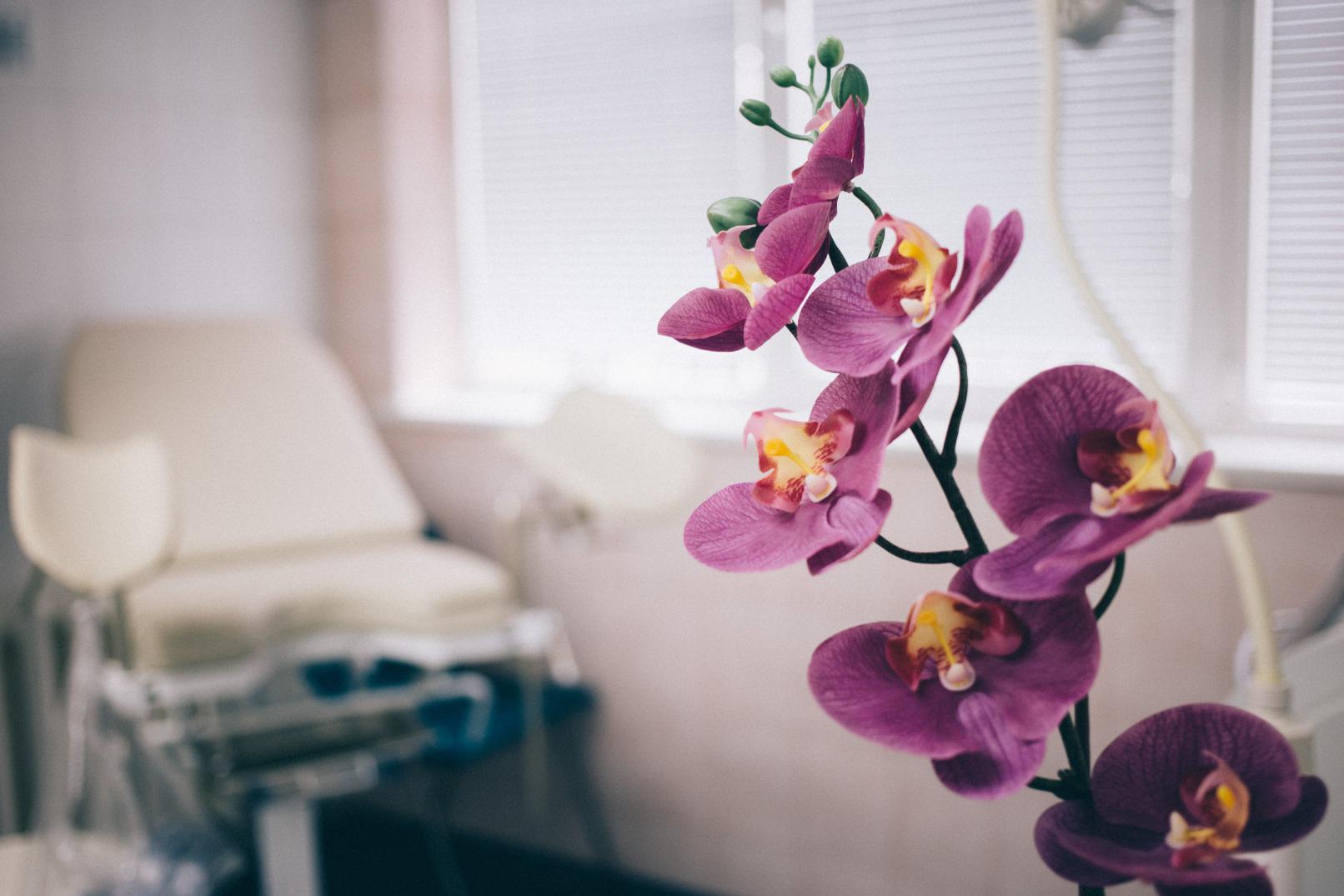 MUDr. Barbora Karvanová Čabrádková