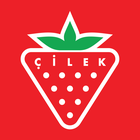 Logo obchodu ČILEK dětský a studentský nábytek