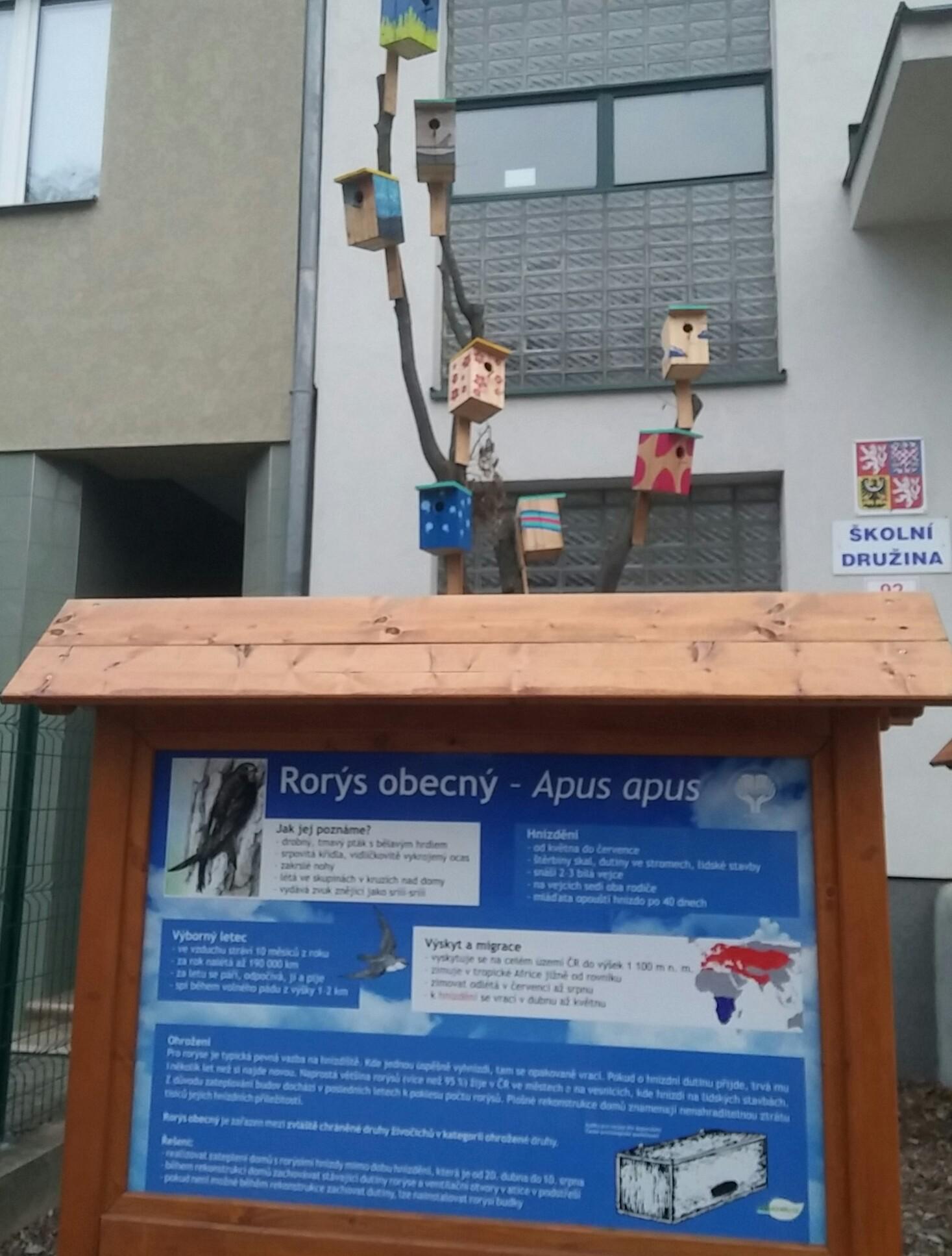 Tyršova ZŠ, Brno foto 4