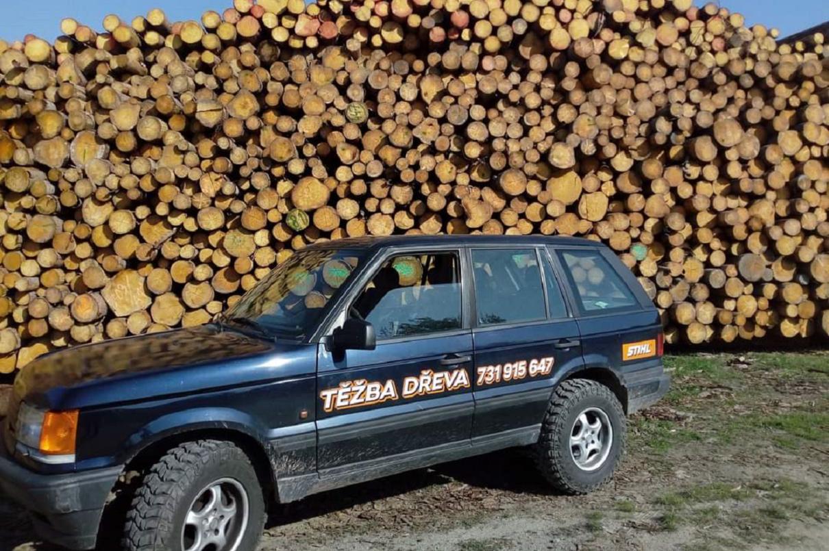 Aleš Zemánek – rizikové kácení dřevin foto 1