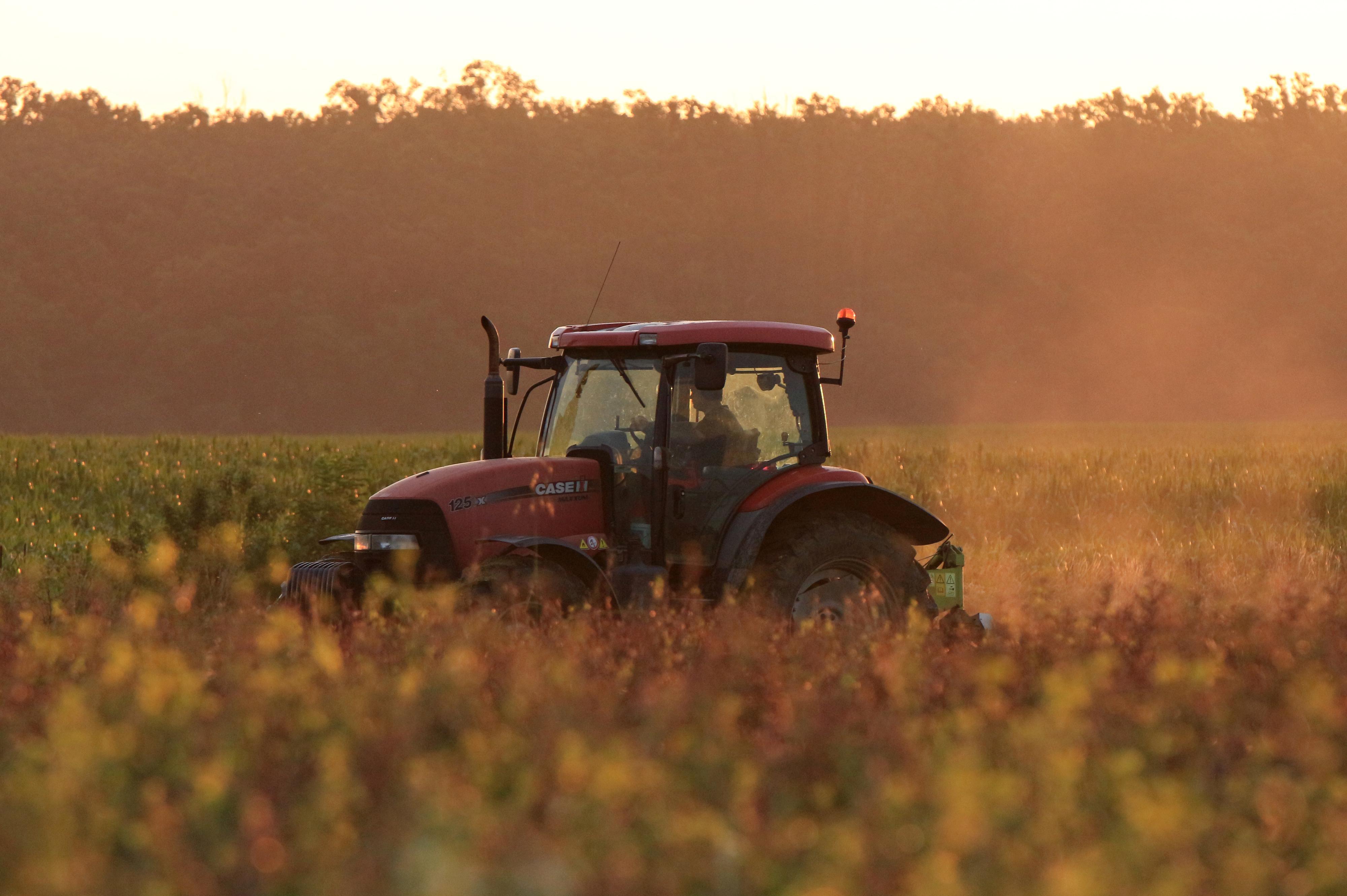 Farma Slabý, s.r.o. foto 1