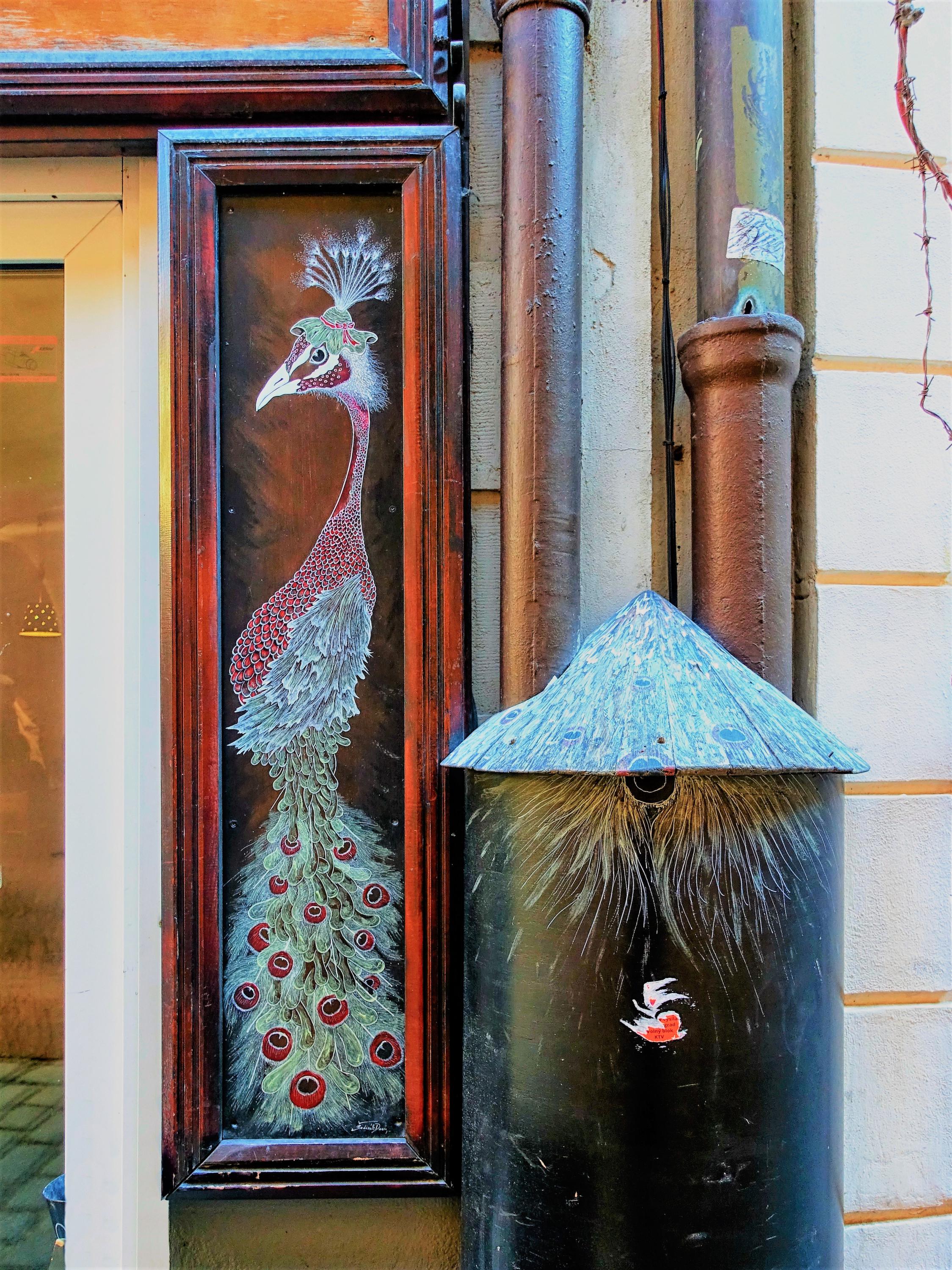 U Červeného páva, s.r.o. foto 2