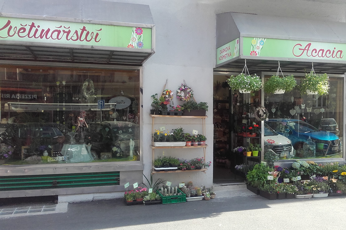 Květinářství Acacia