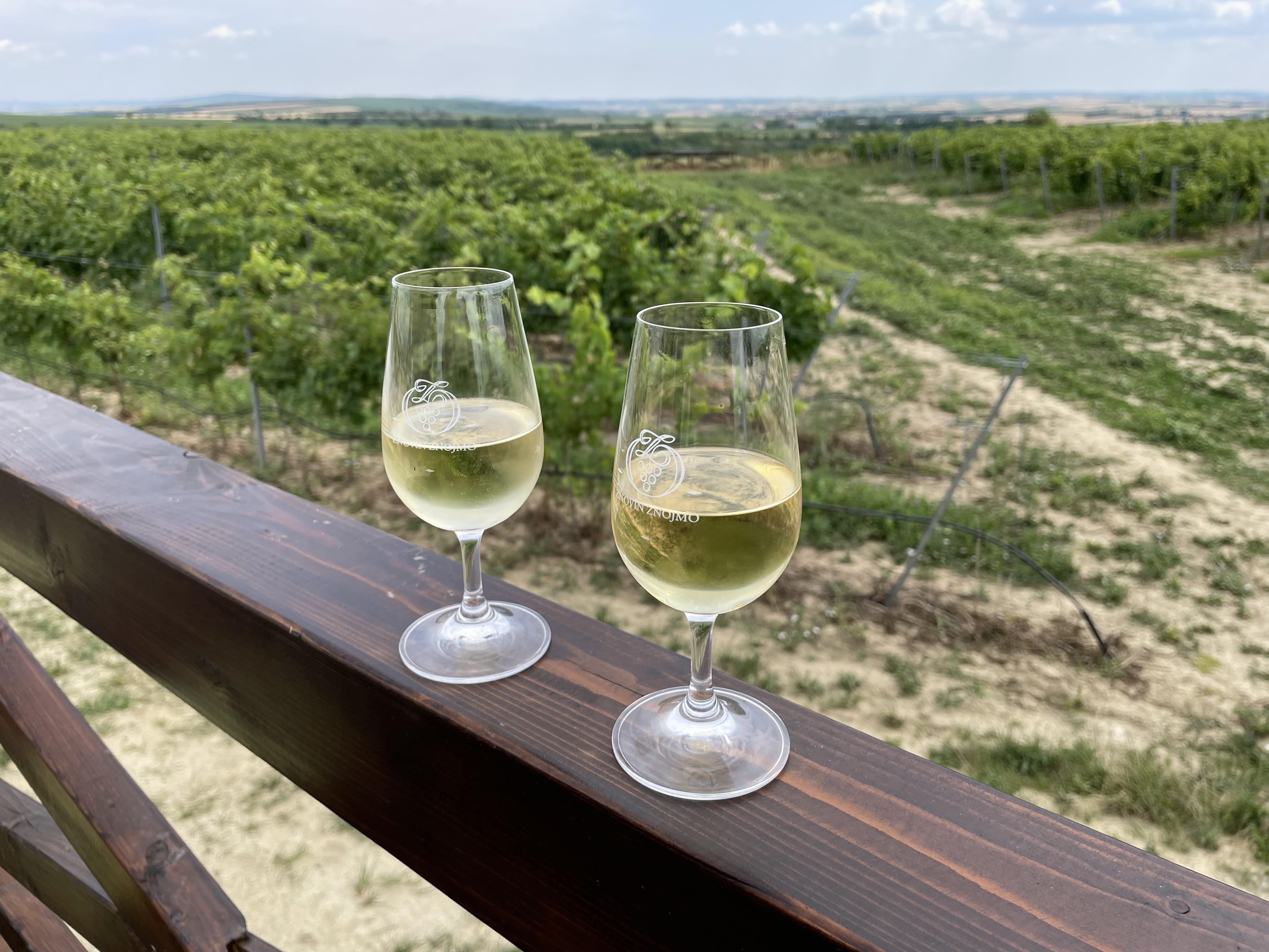 Znovín Znojmo - ochutnávkový stánek Peklo, Šatov foto 4