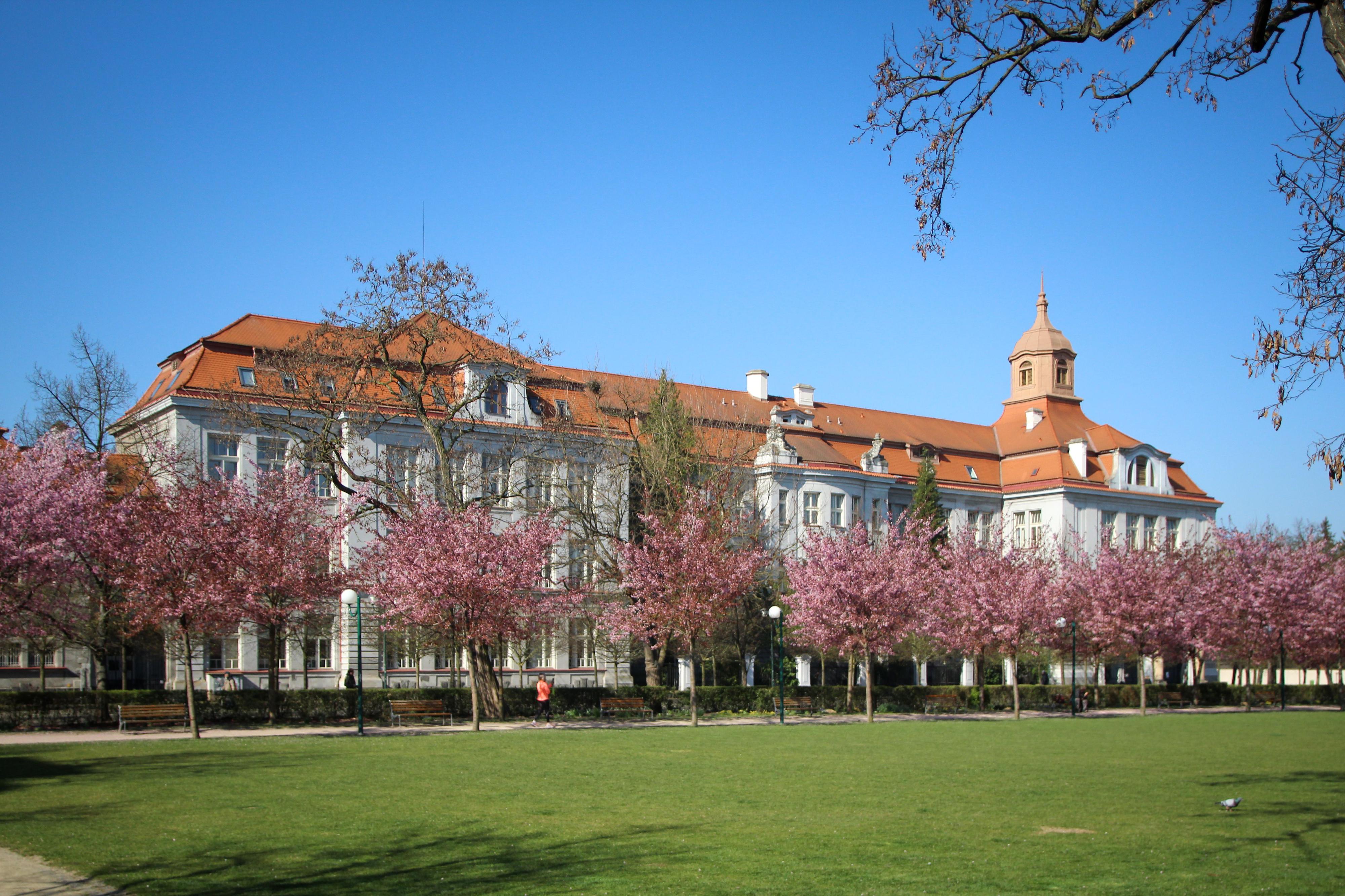 Gymnázium Plzeň, Mikulášské náměstí foto 2
