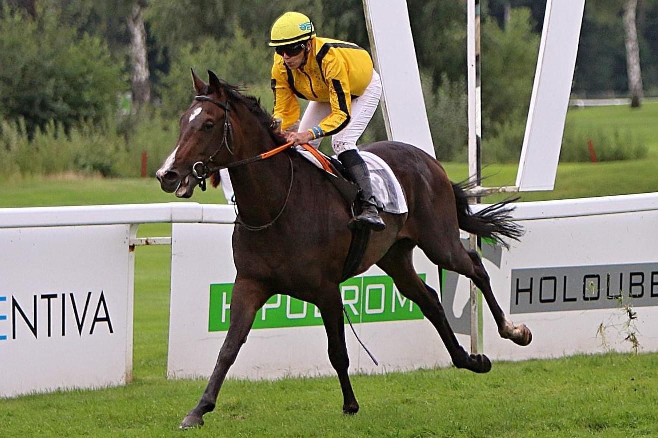 Jezdecký klub Cholupice