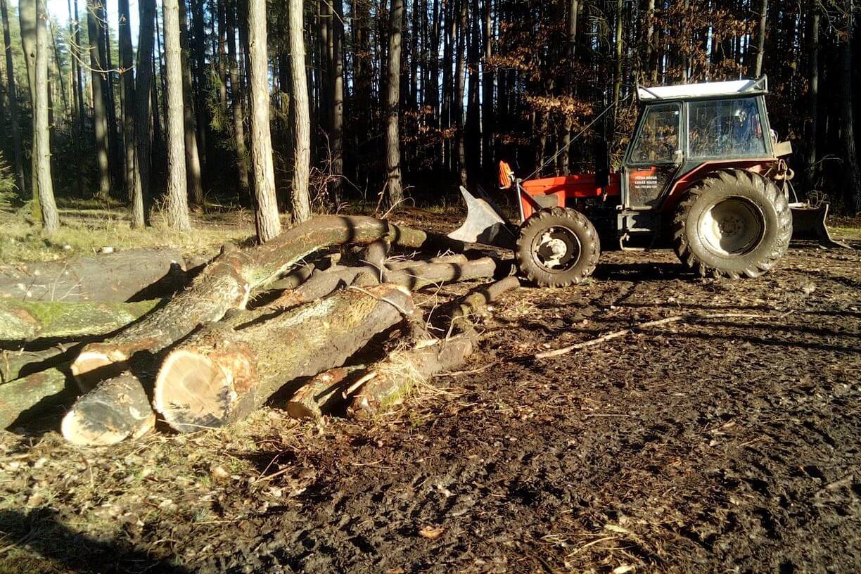 Kácím a řežu - Lukáš Rajzr