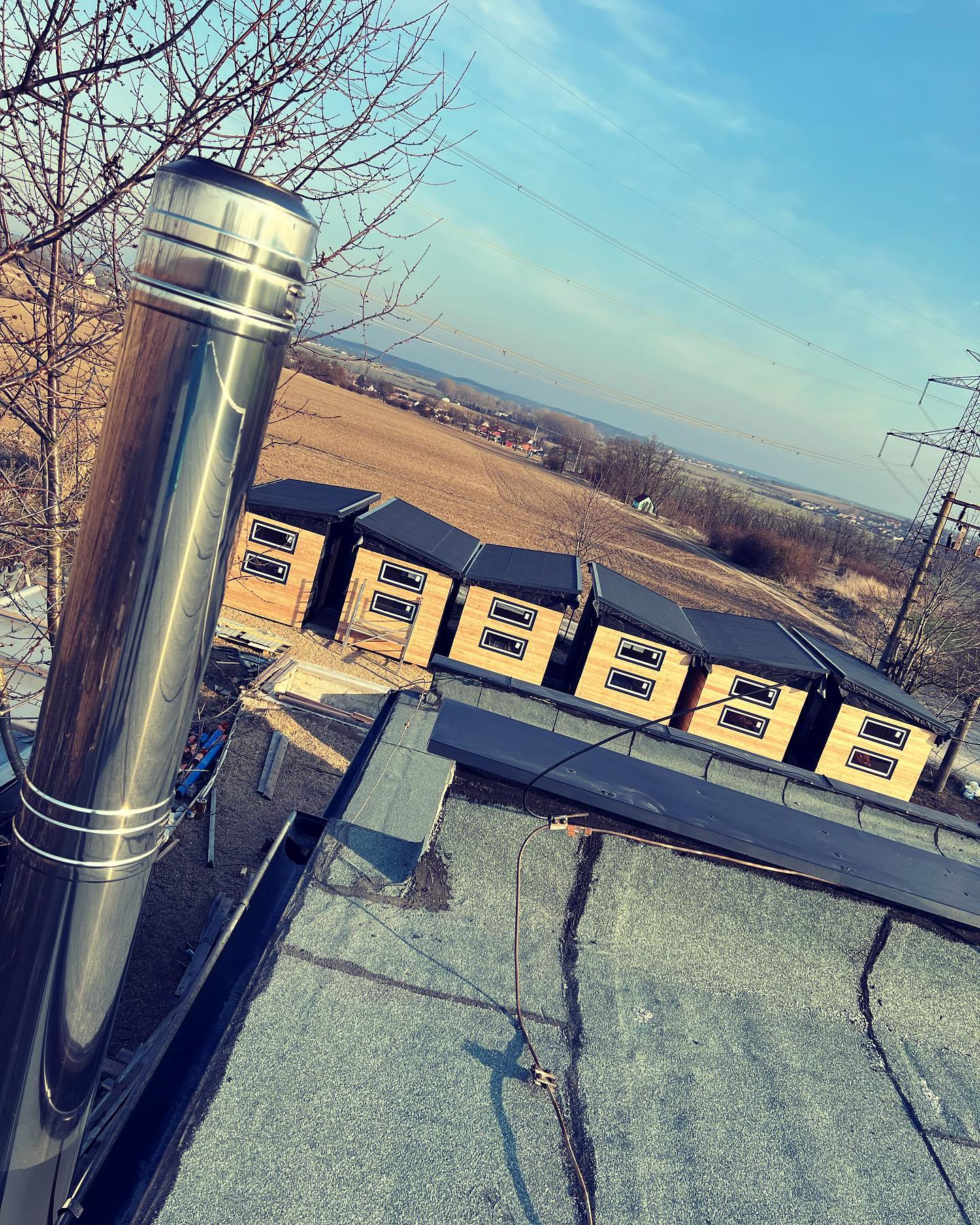 Kostka v poli foto 2