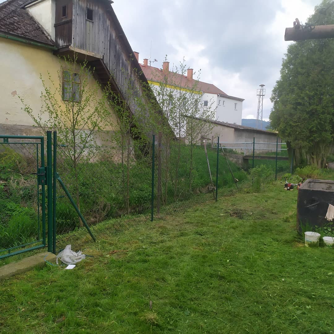 Bajer - dům, byt, zahrada foto 5