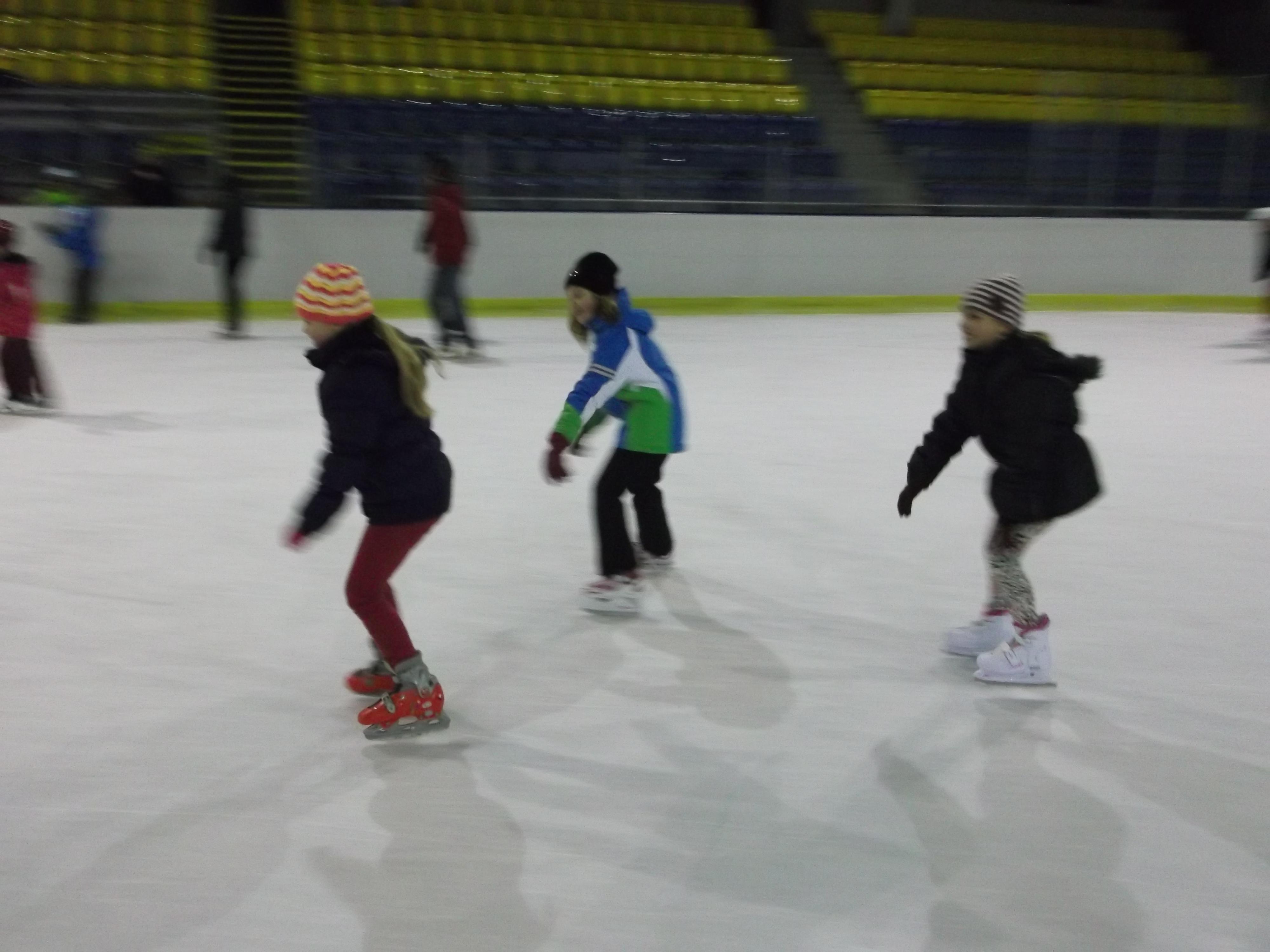 Roudnické městské služby - zimní stadion foto 2