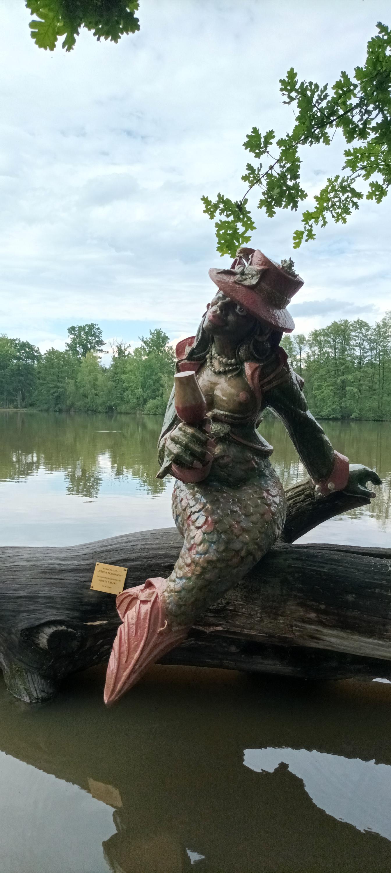 Restaurace Pergola u Sv.Víta foto 5