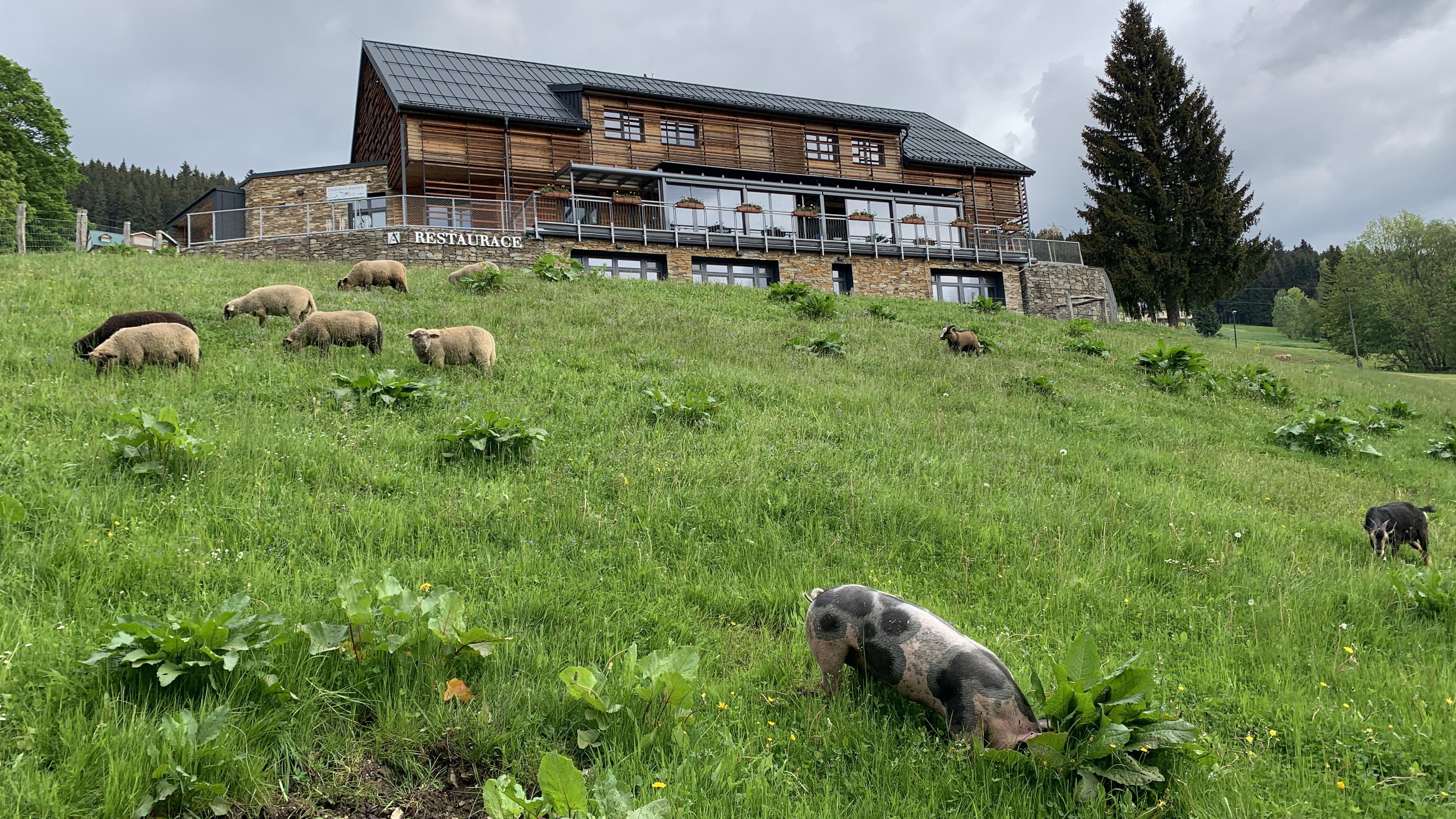 Amenity Restaurace Špindlerův Mlýn foto 6