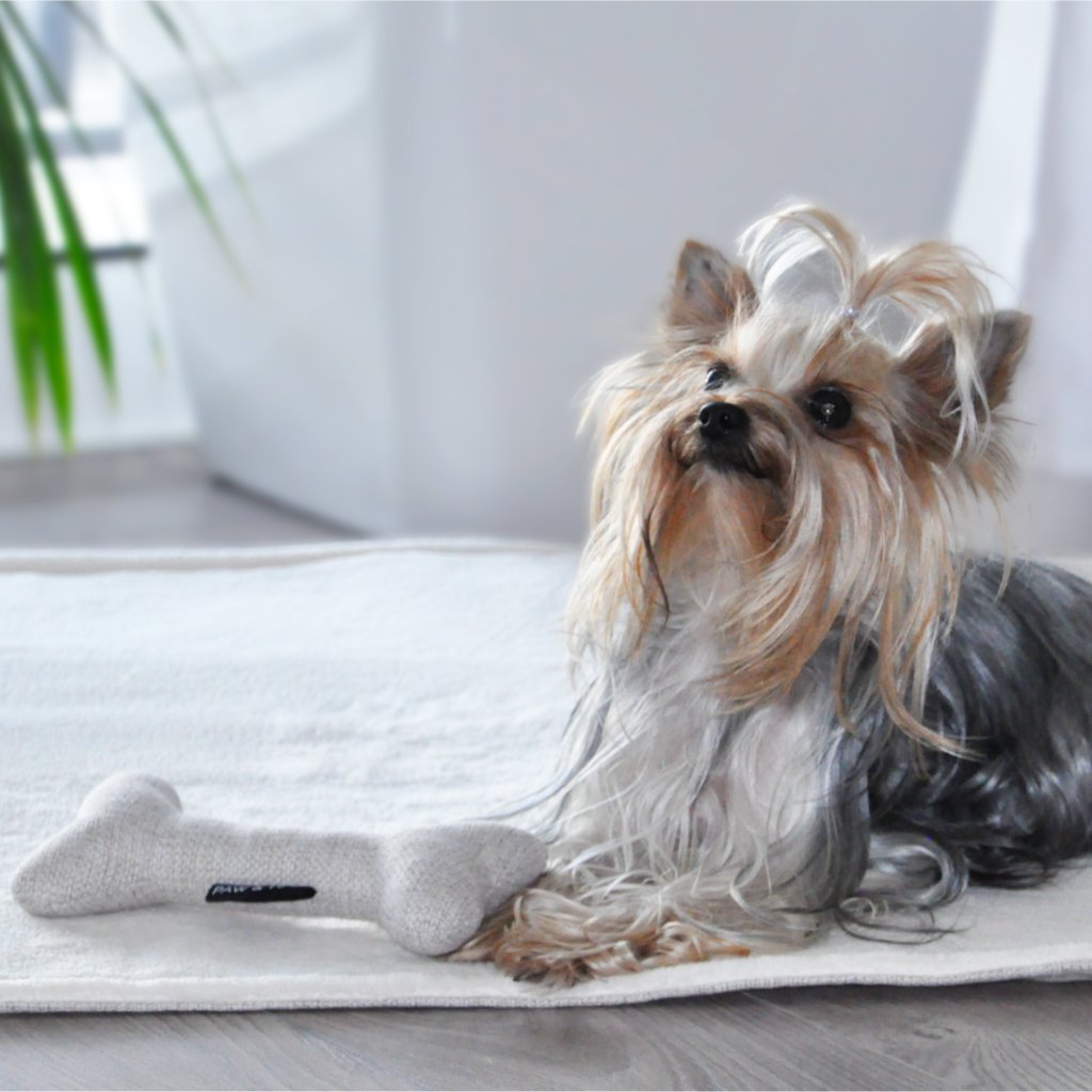 Paw & You foto 4