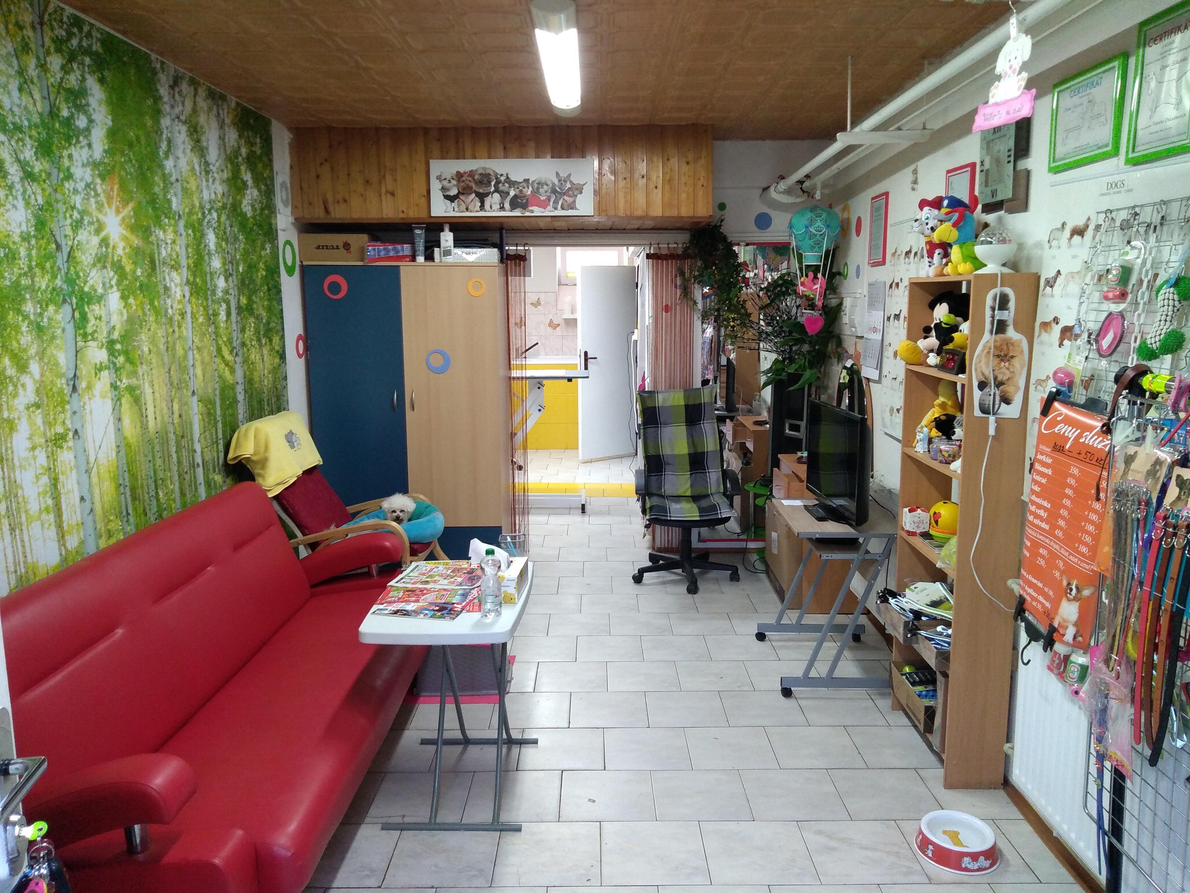 Psí salon Elena Sikorska Kadaň foto 2