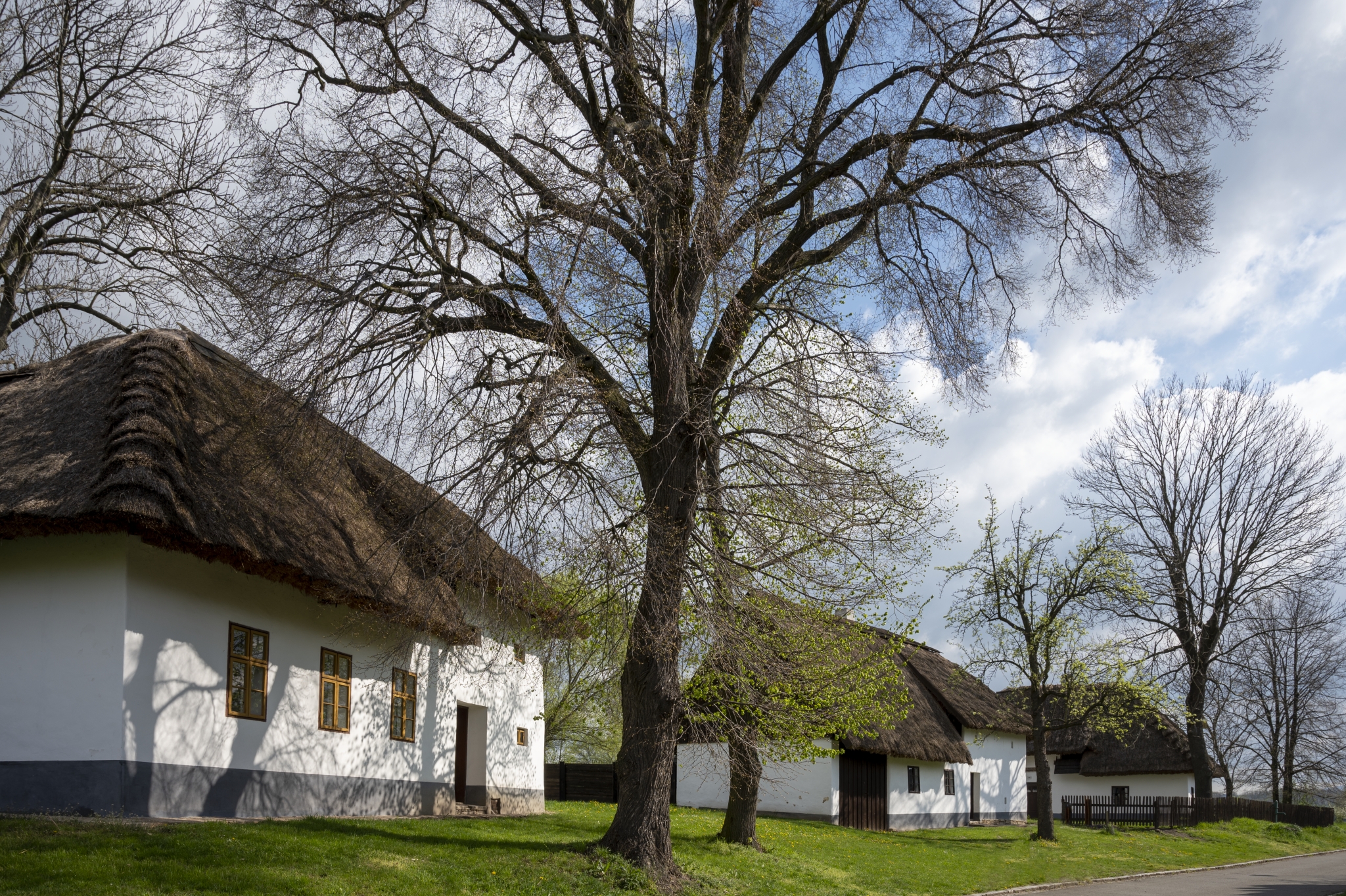 Muzeum v přírodě Rymice foto 4