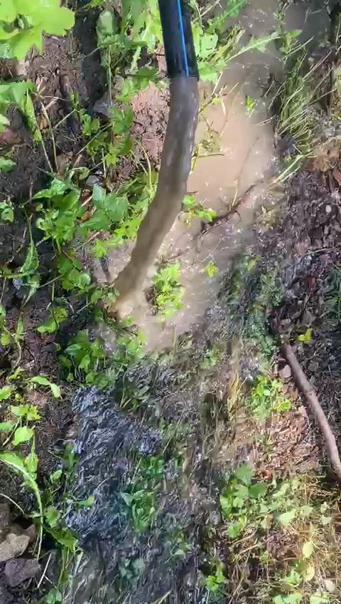 A1 vrty foto 2 (náhled videa)