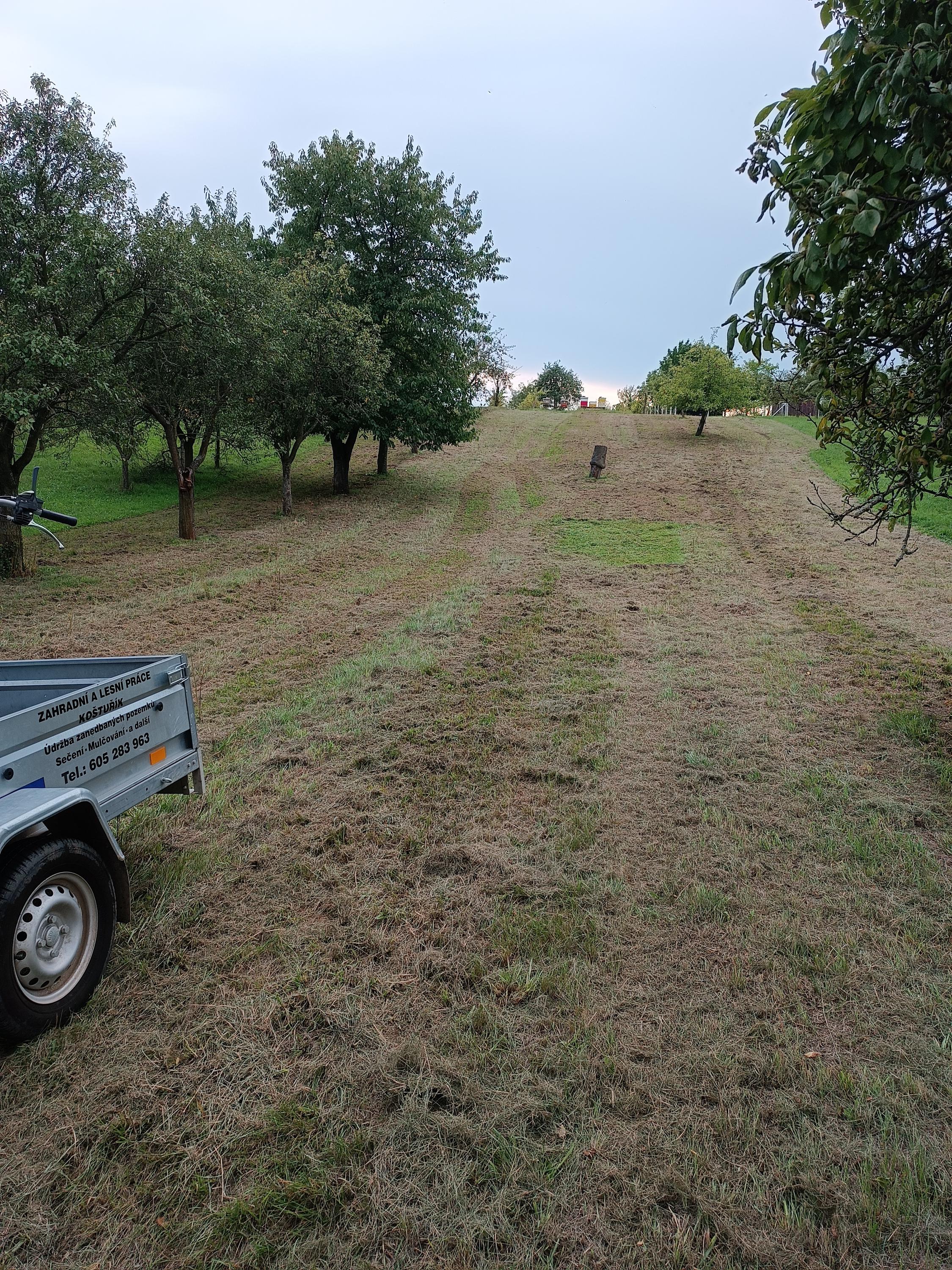 Zahradní a lesní práce Koštuřík - Zalko foto 3