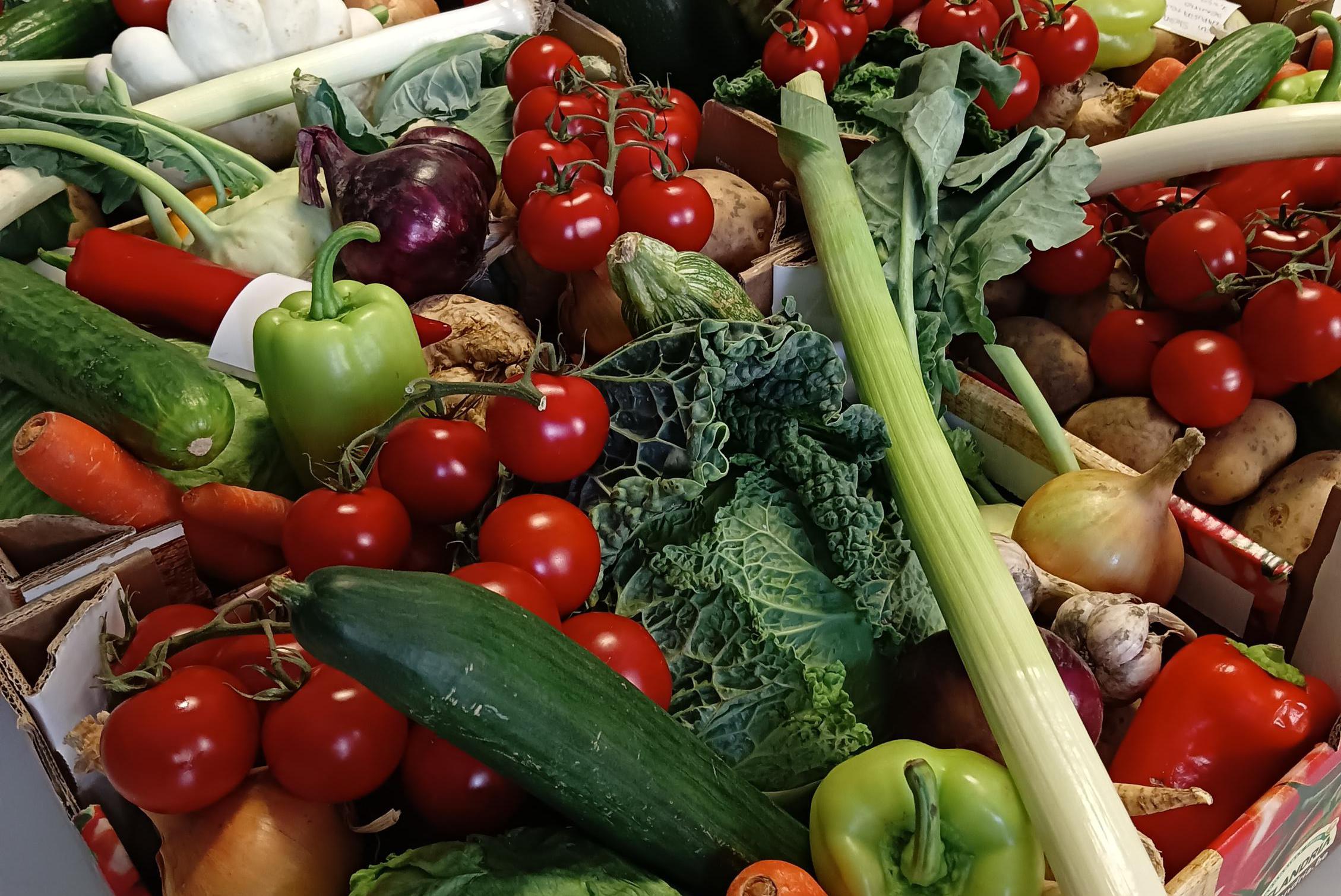 Zelenina a ovoce Iva Planičková