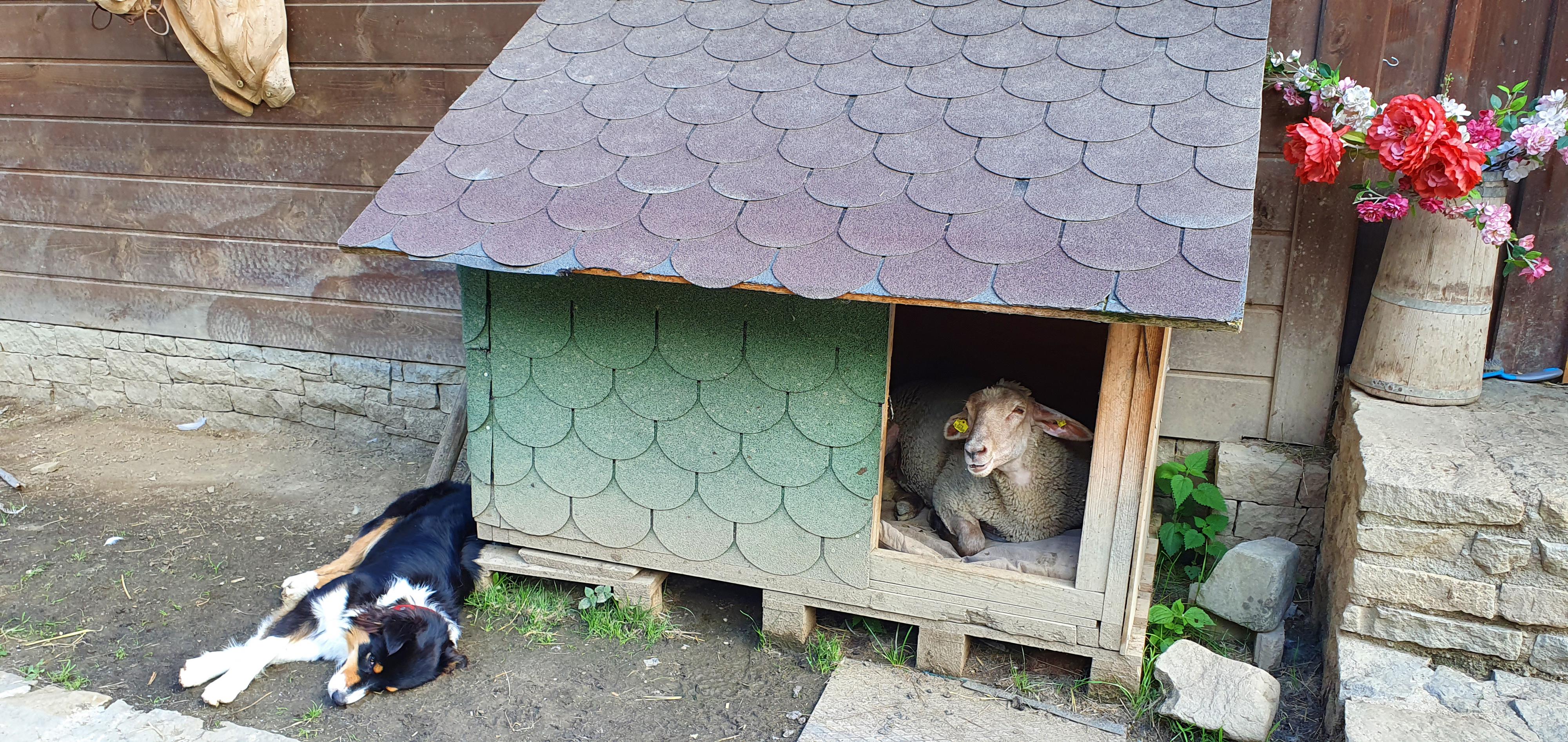 Statek U Rajmunda foto 2