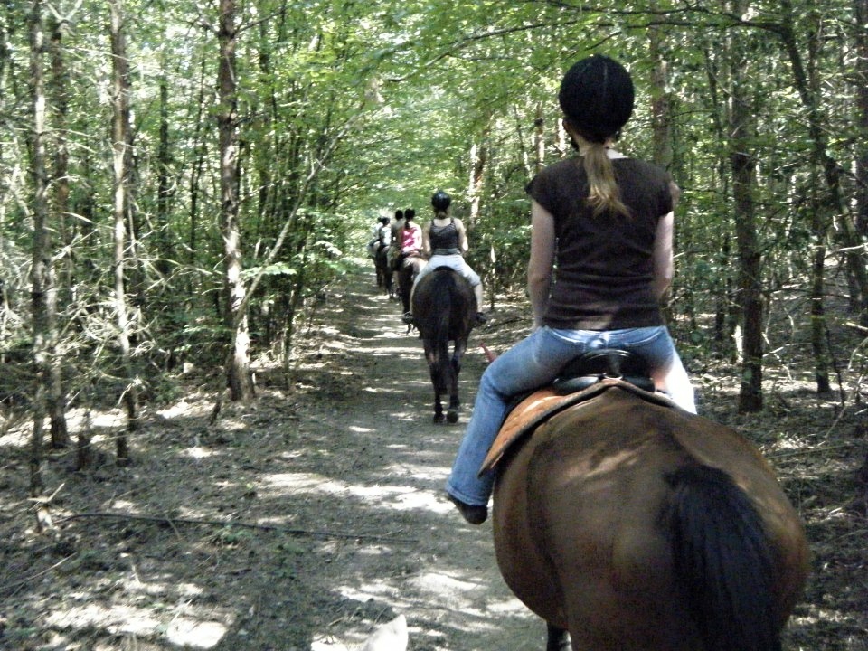 Farma Bojov - JK Paganini foto 3