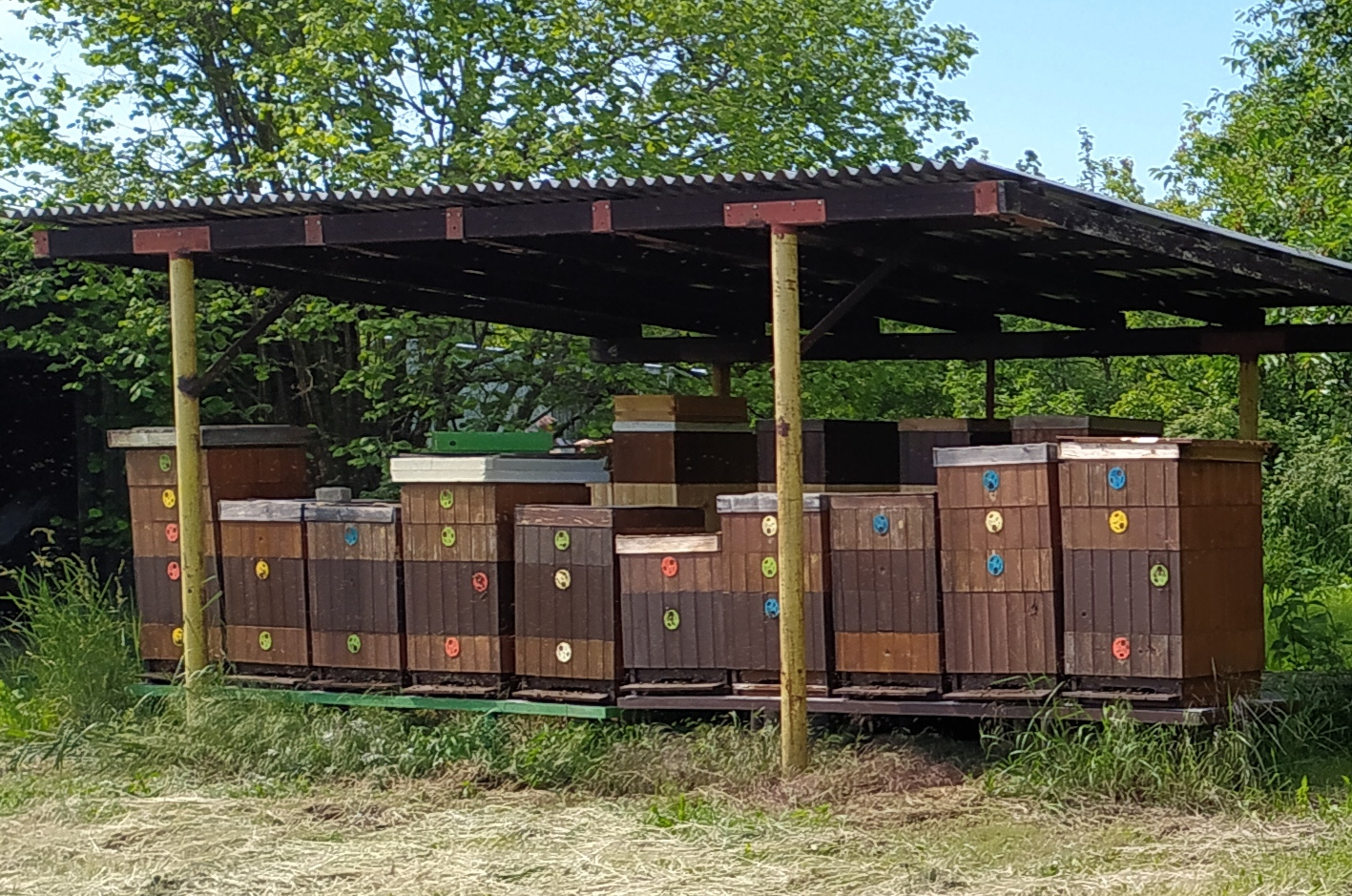 Včelařství Kuchrýkovi