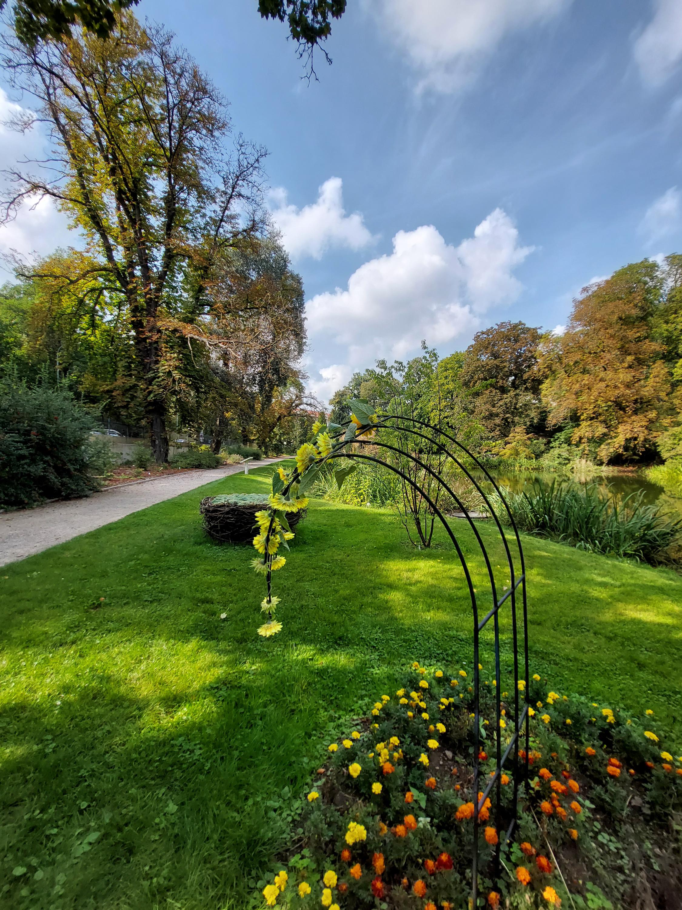 Střední odborná škola Jarov foto 5