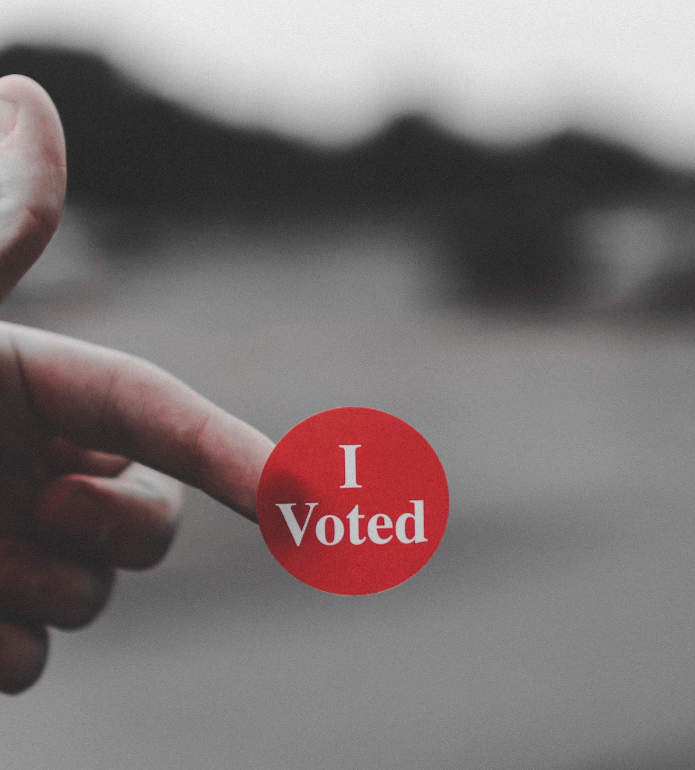 Volební kampaně - konzultace