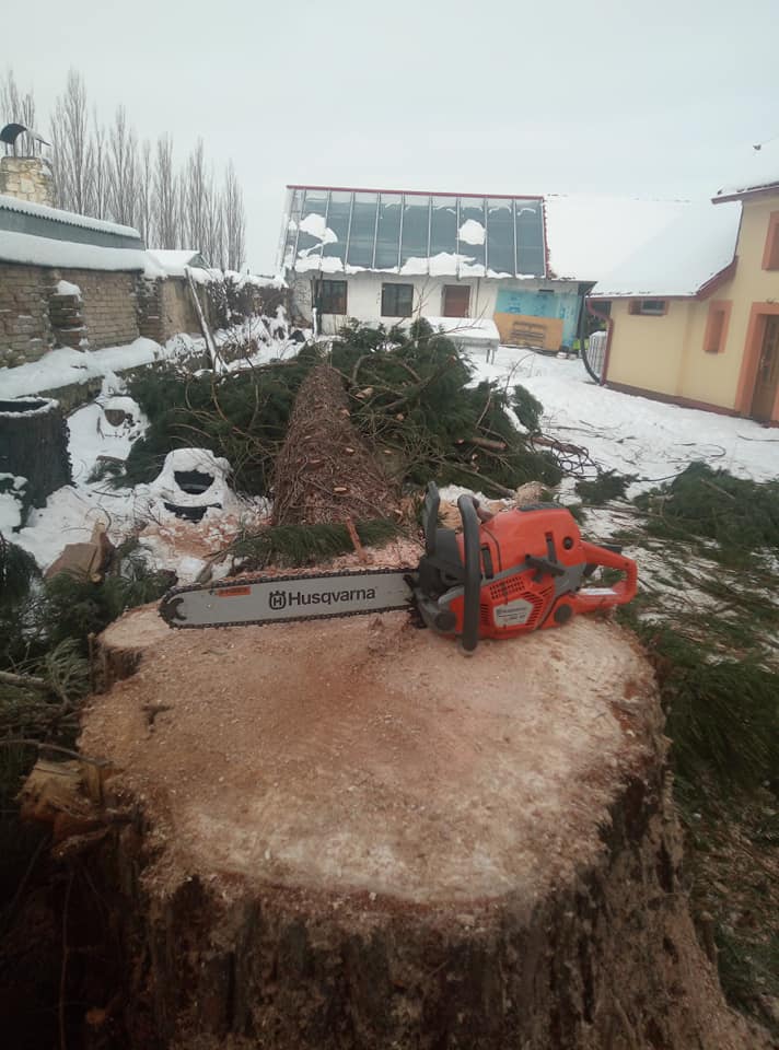 Kácení a ořez rizikových stromů - Ing. Pavel Kuba foto 4