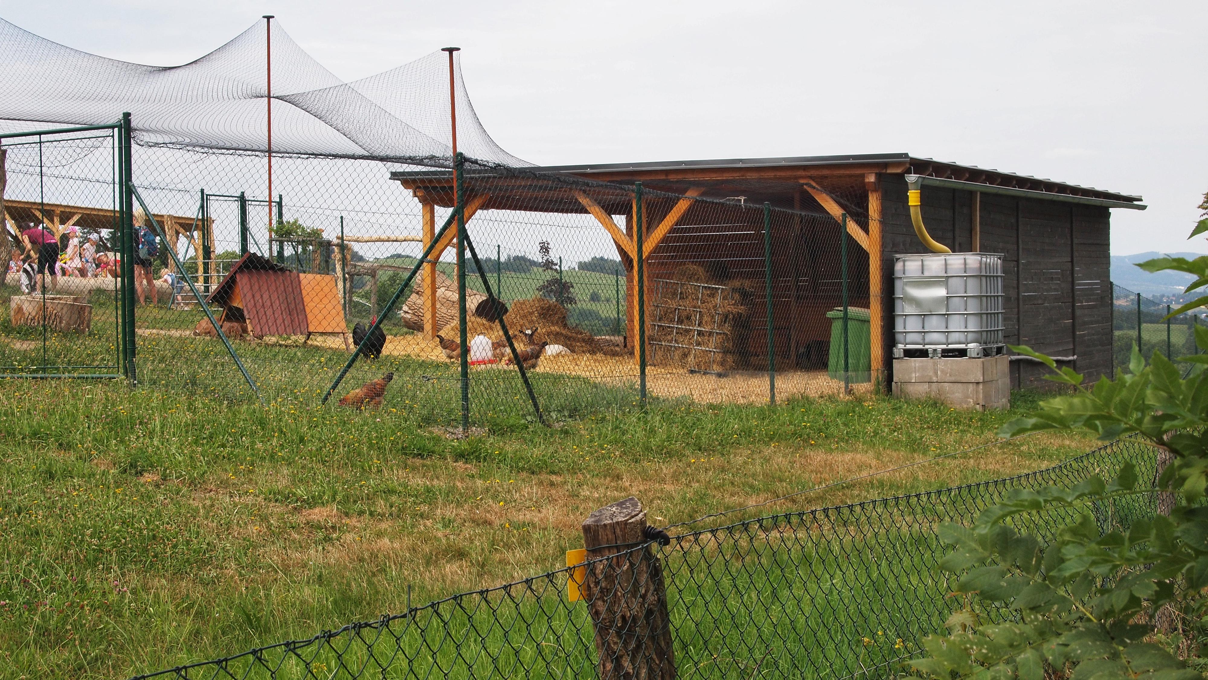 Farma Little Farmers foto 6