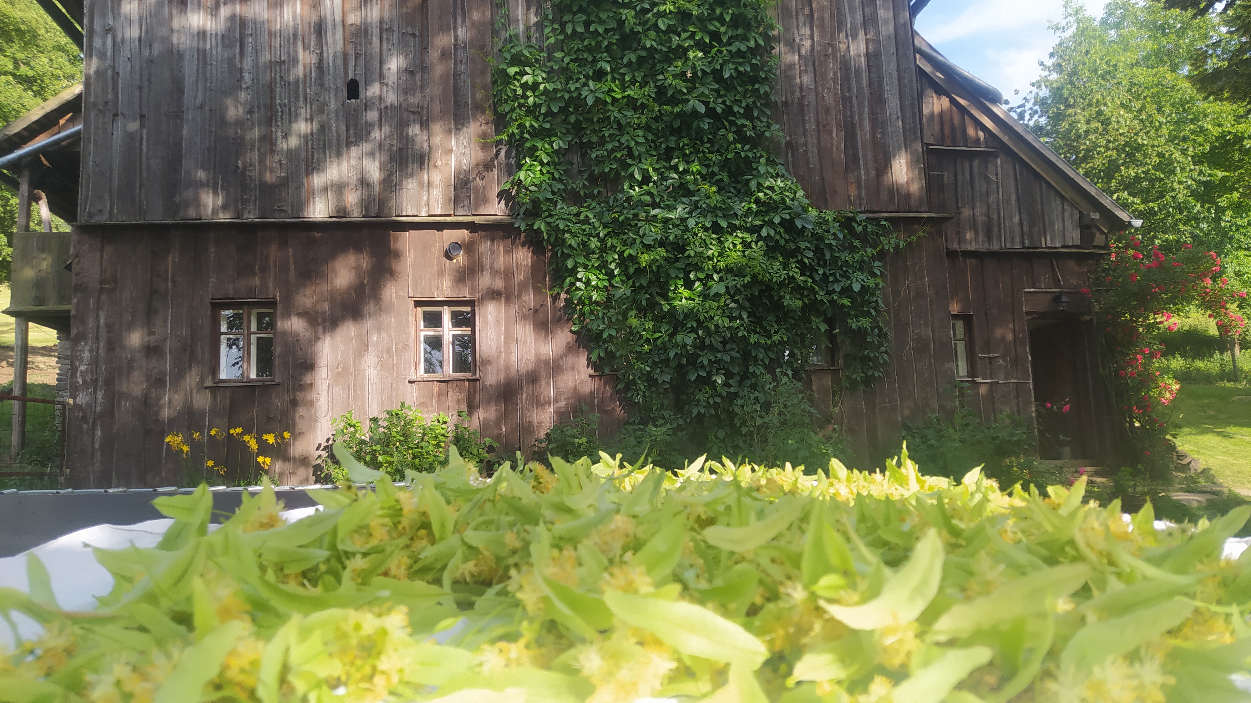 Hospodářství pod Strážným Vrchem foto 6